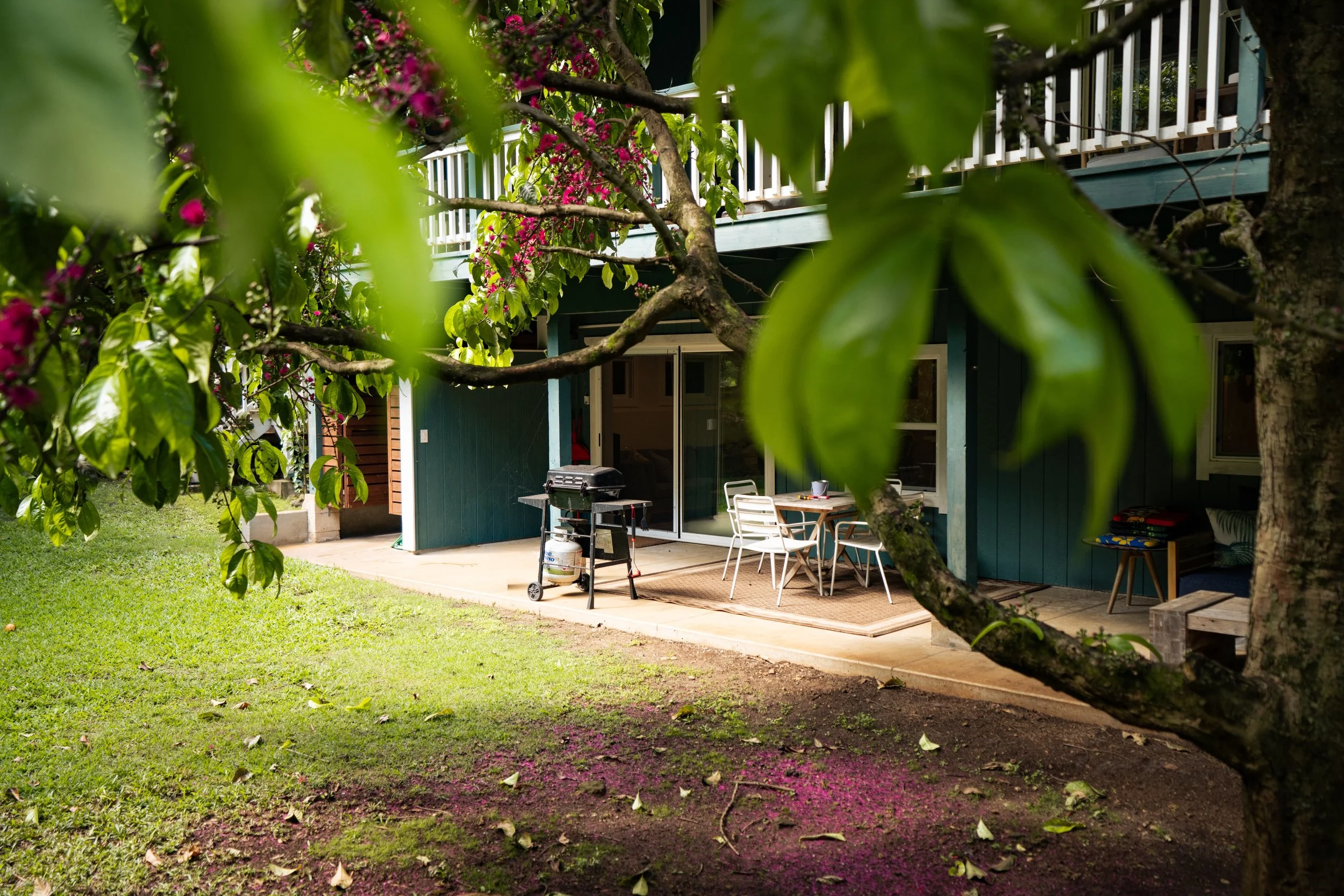 FOSS_DREAMYSURFSHACK_X_05077.JPG