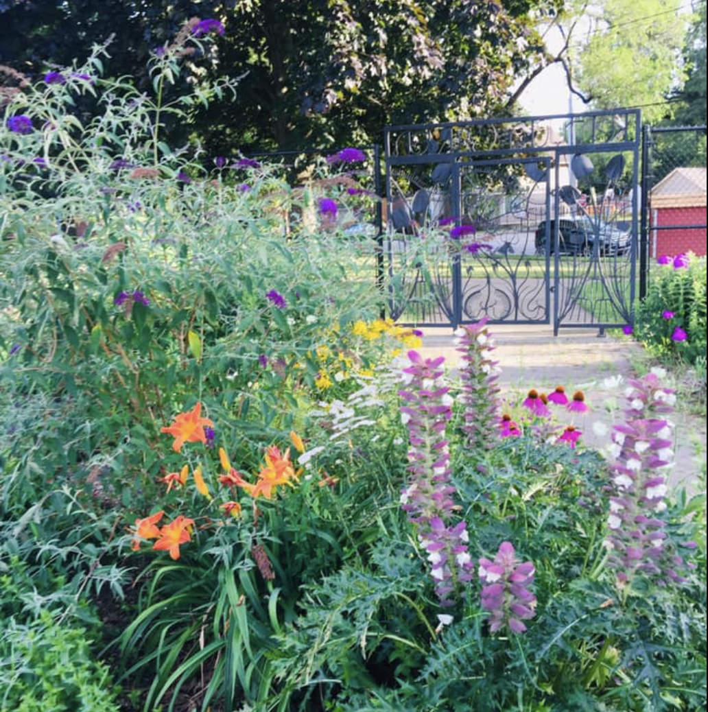 New Gardeners Meeting