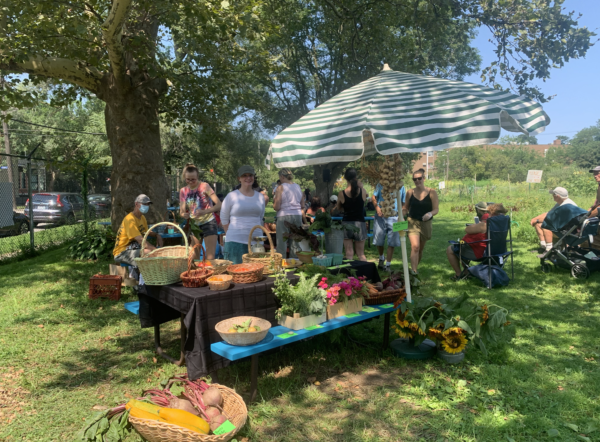 Garden Market 