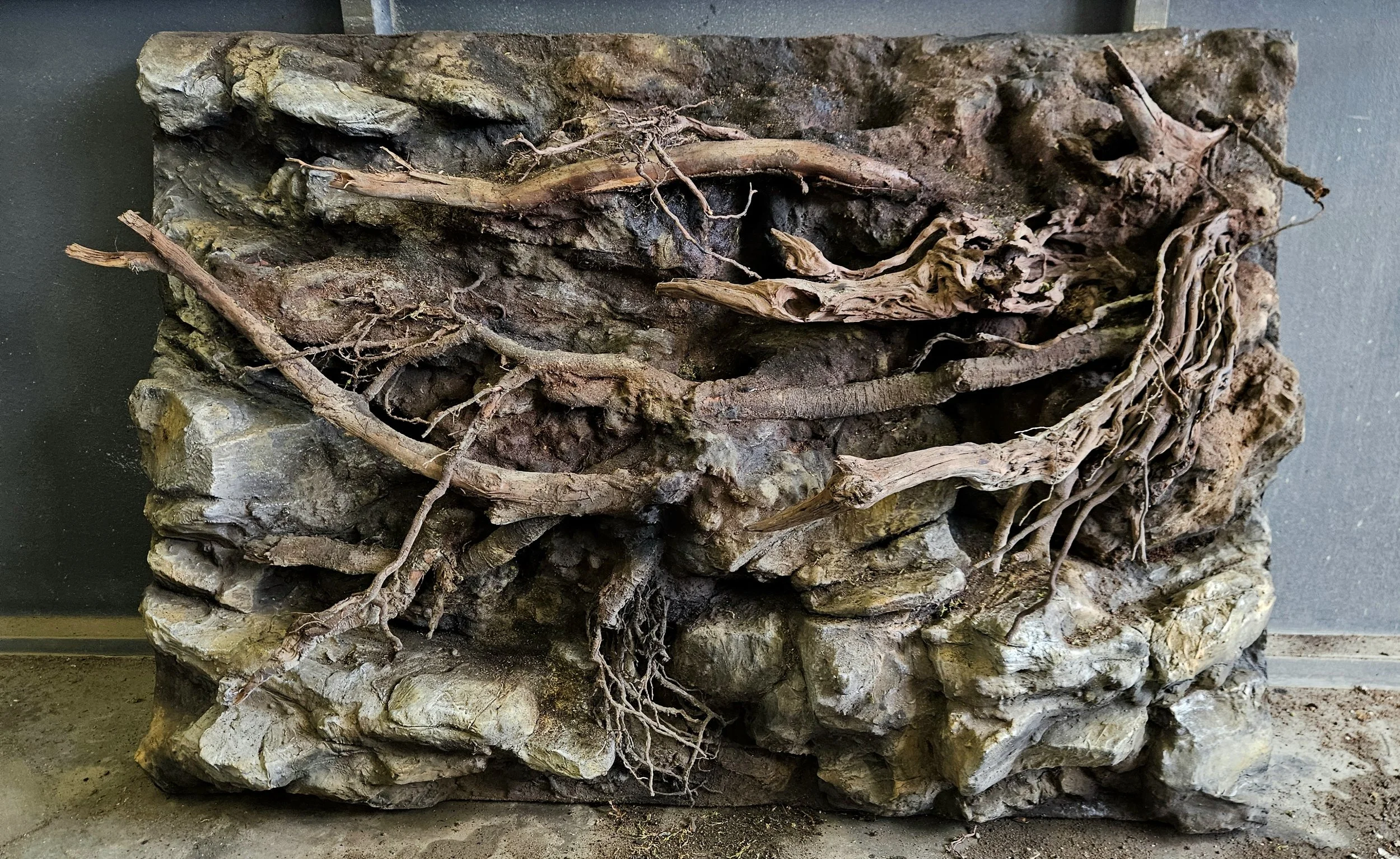 Integrierte Wurzelstücke in einer Terrarium-Rückwand.