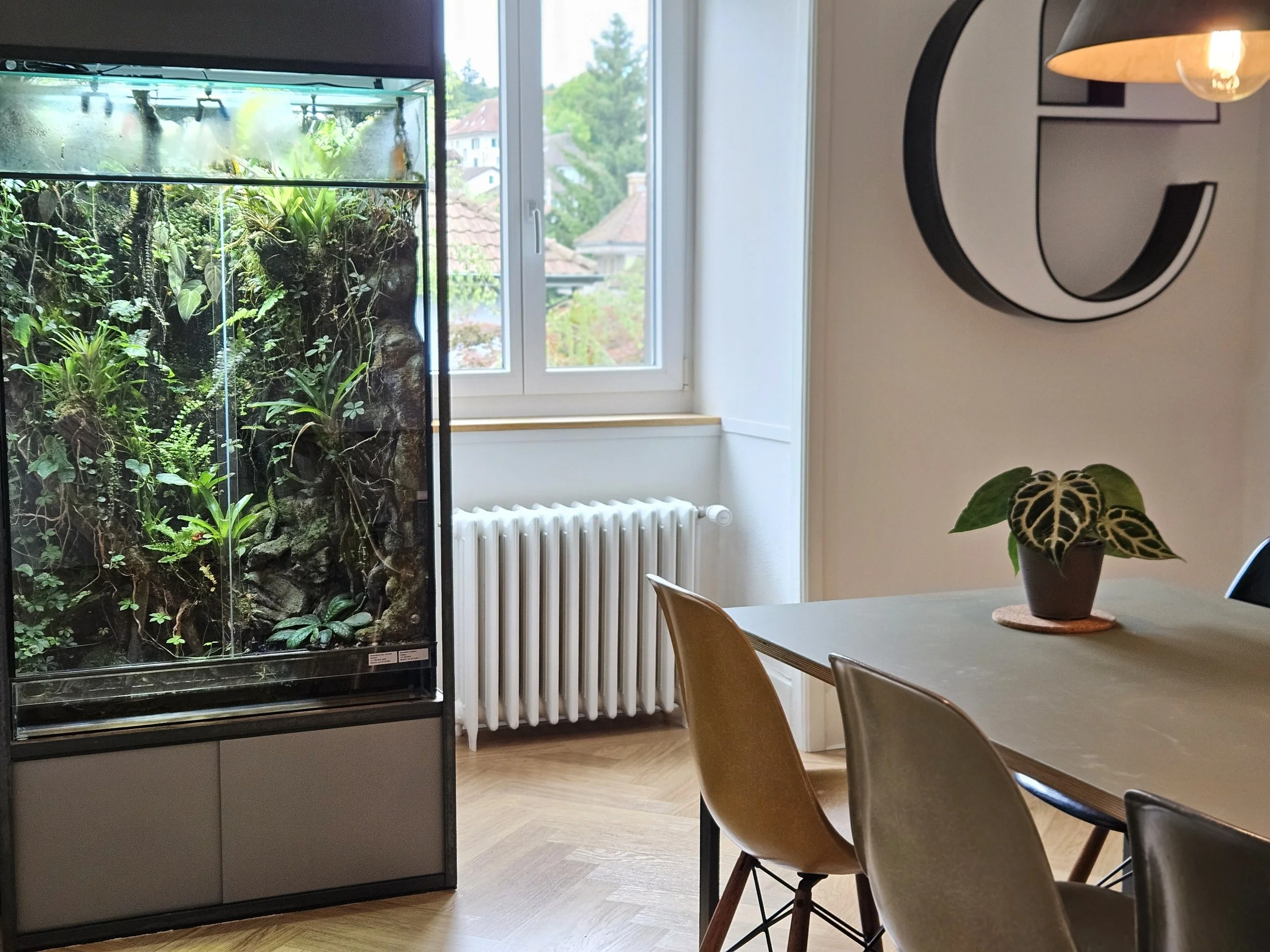 Ein Wohnzimmer mit einem Terrarium, einem großen Fenster, einem Tisch und Eames-Stühlen.