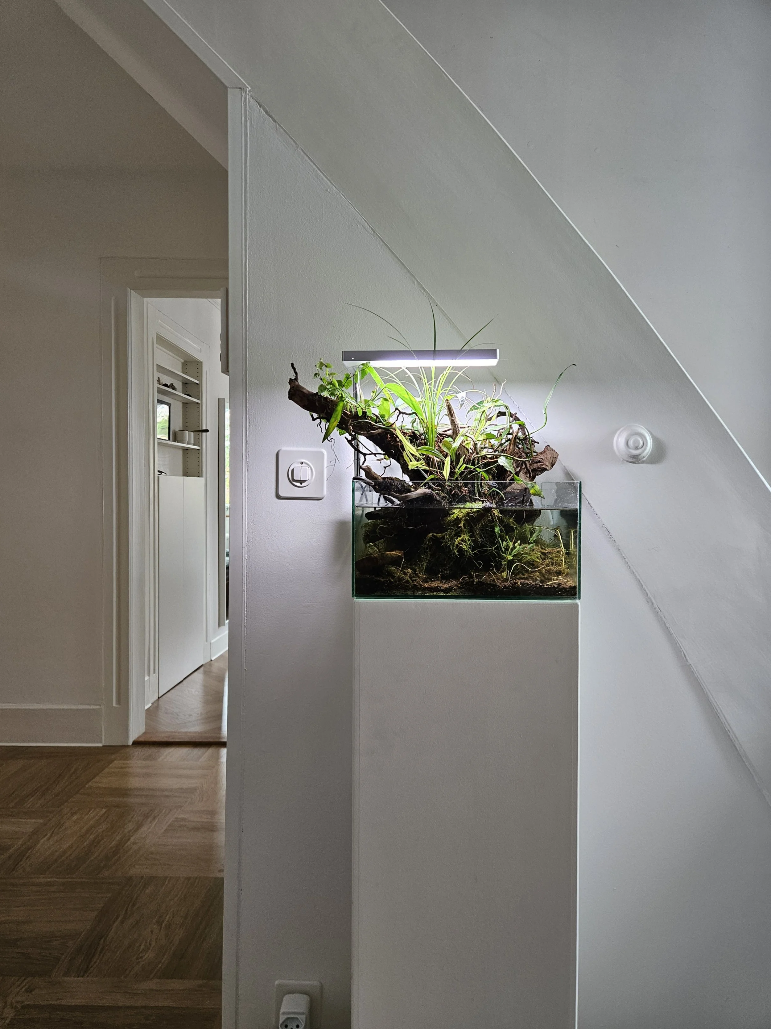 Ein kleines Paludarium mit vielen verschiedenen Pflanzen und Moosen auf einer weissen Säule.