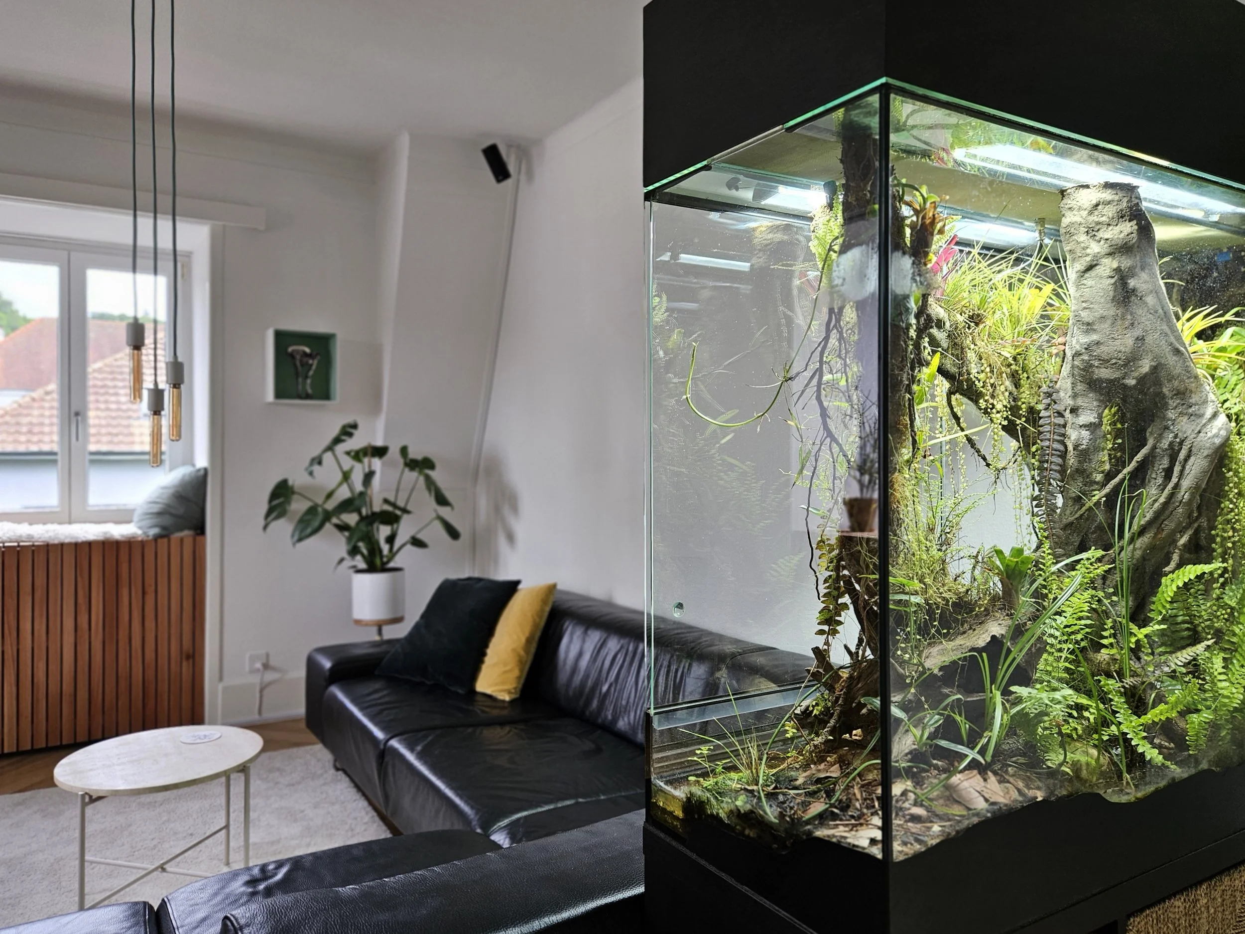 Innenaufnahme eines Wohnzimmers mit schwarzem Sofa, Kissen und einem kleinen runden weißen Couchtisch. Eine große Fensterfront zeigt einen Blick nach draußen auf Dächer und Himmel. Im Raum ist ein Schauterrarium zu sehen.