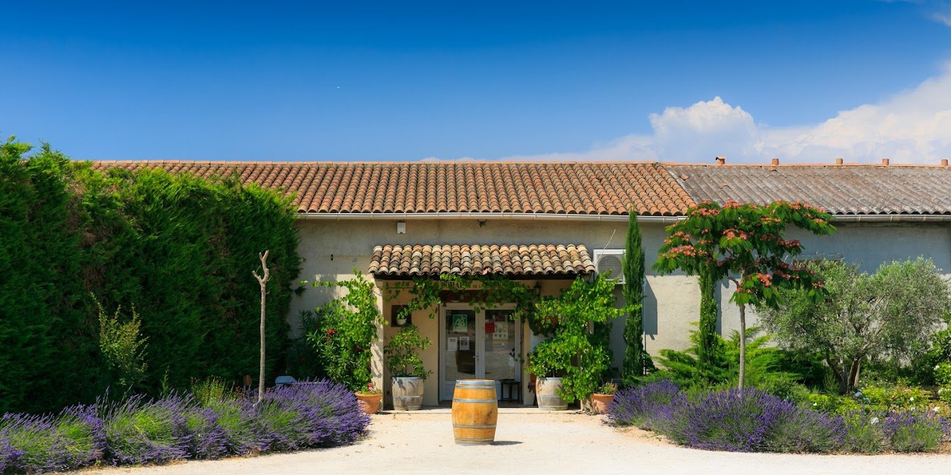 Picture of the entrance of Domaine La Cadeniere with a lavender alle