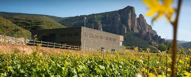 nivarius winery