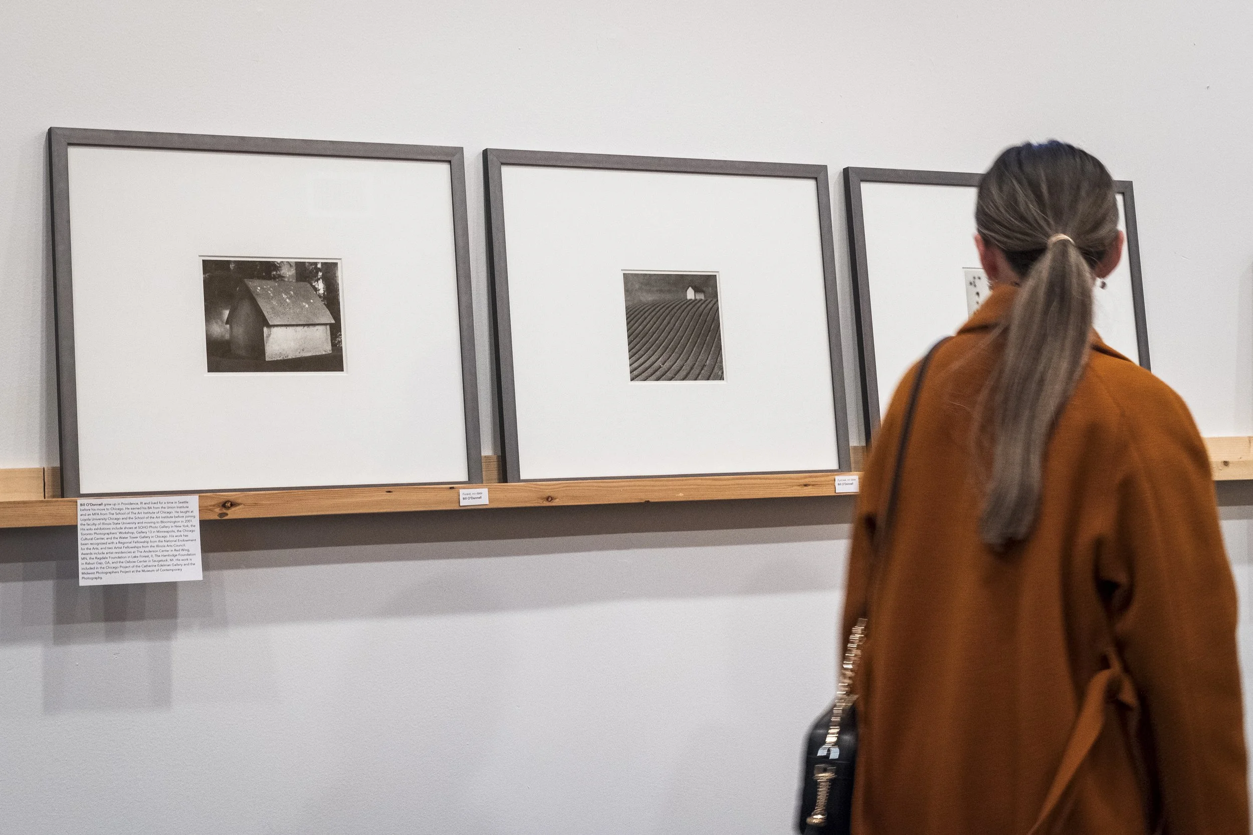 11.1.24_Analog urbana Fields of Vision_Group A-3.jpg