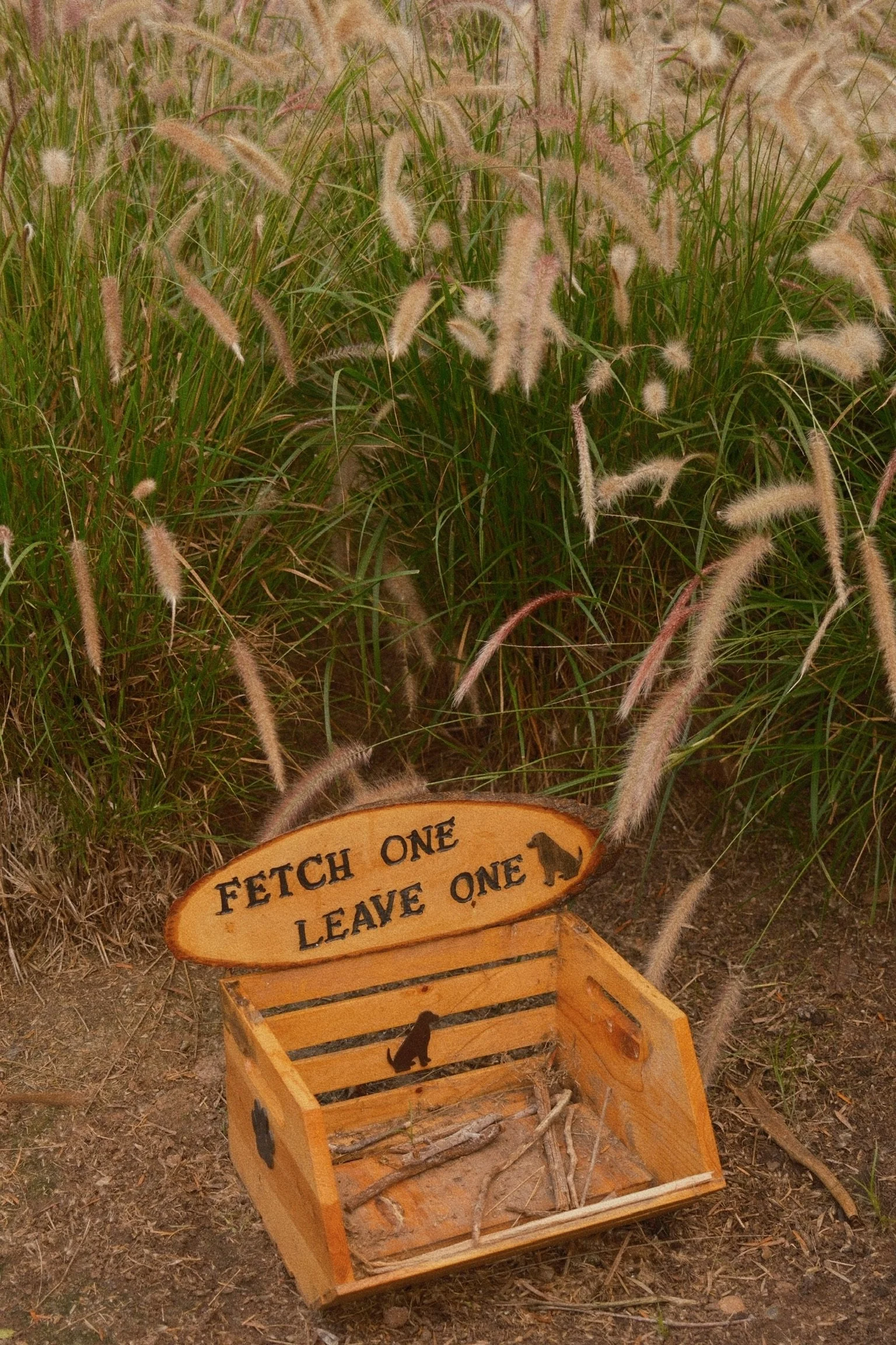 FullSizeRender_VSCO 3.JPG