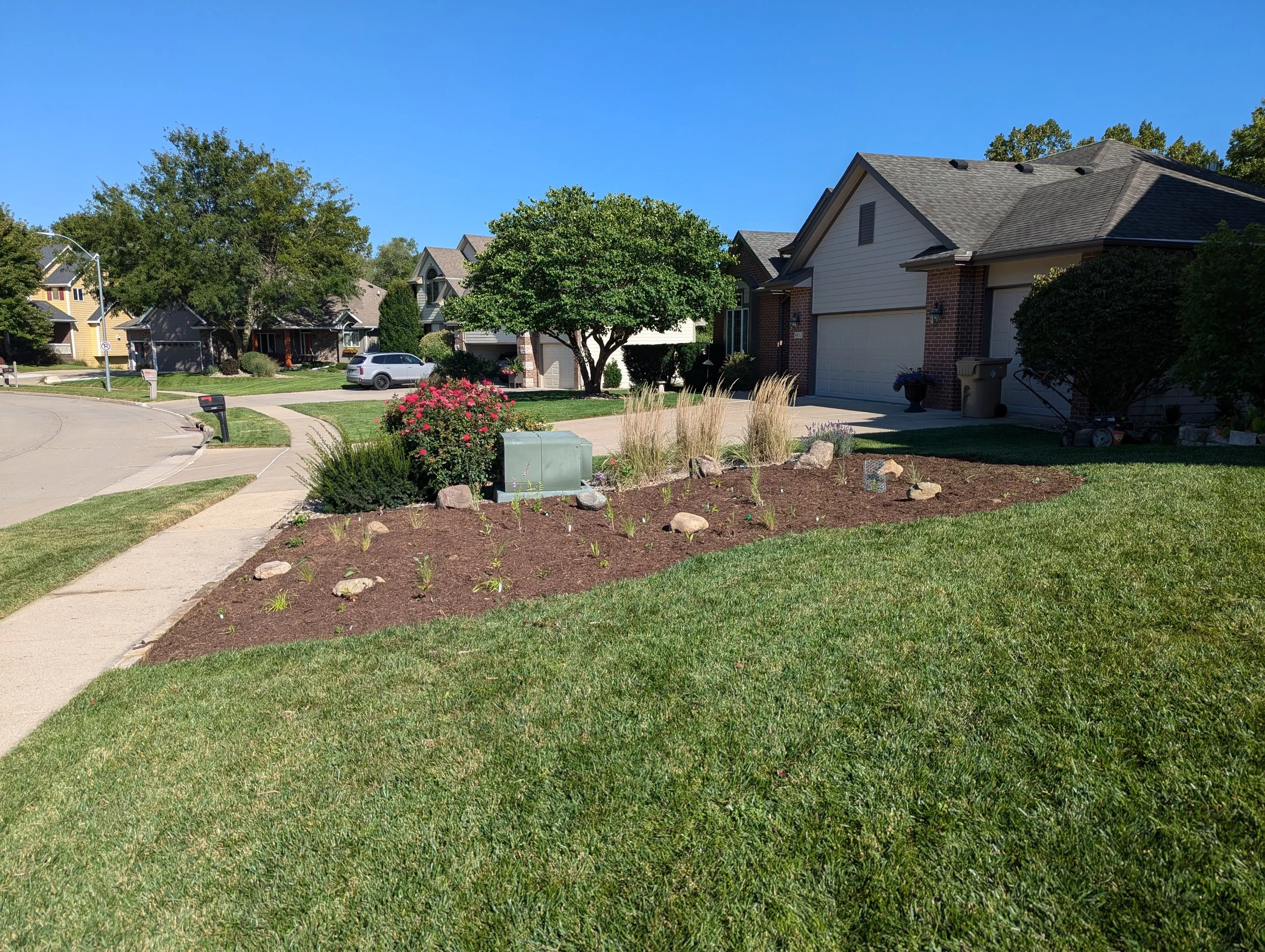 Planted Fall 2024