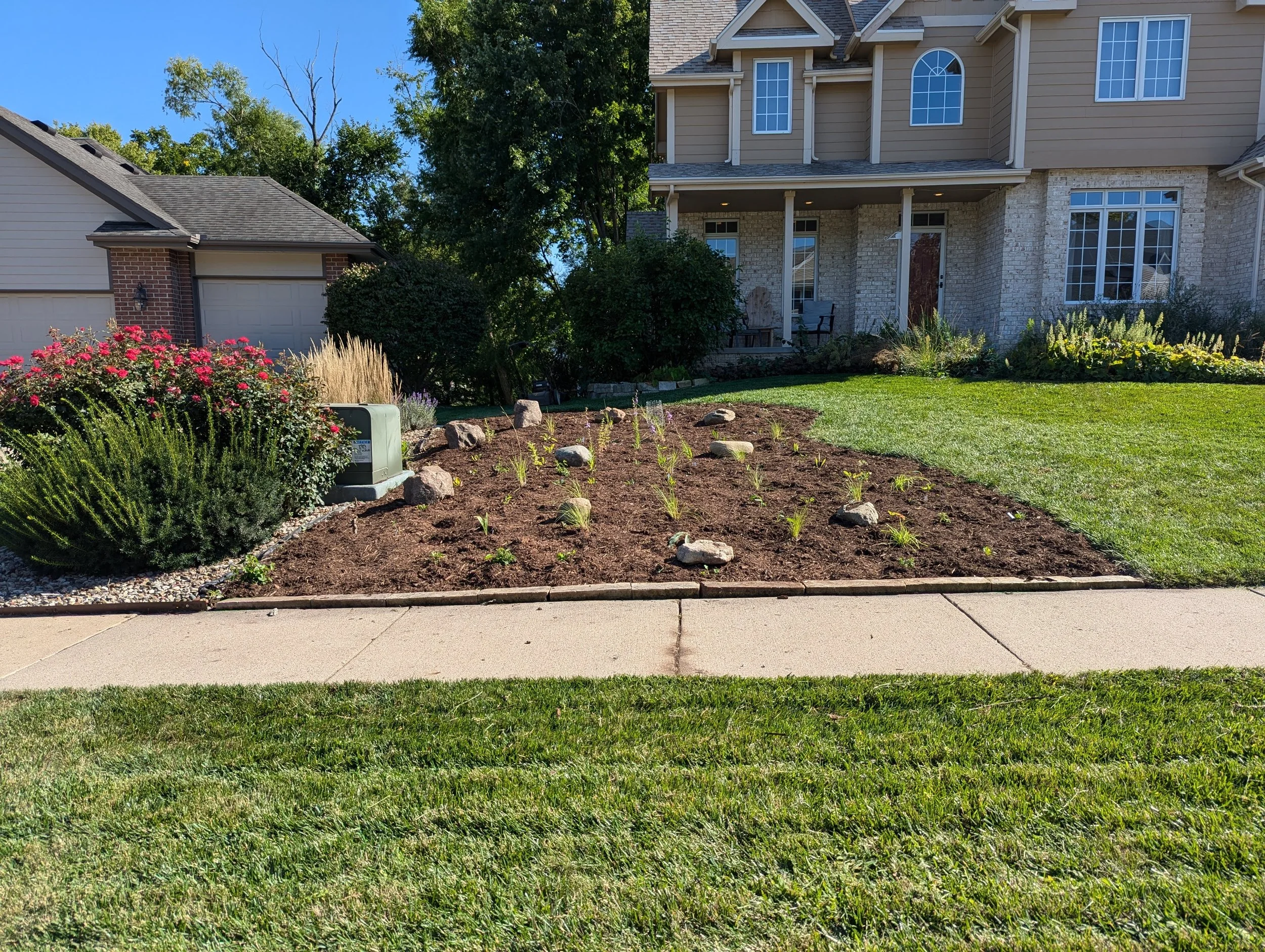 Planted Fall 2024