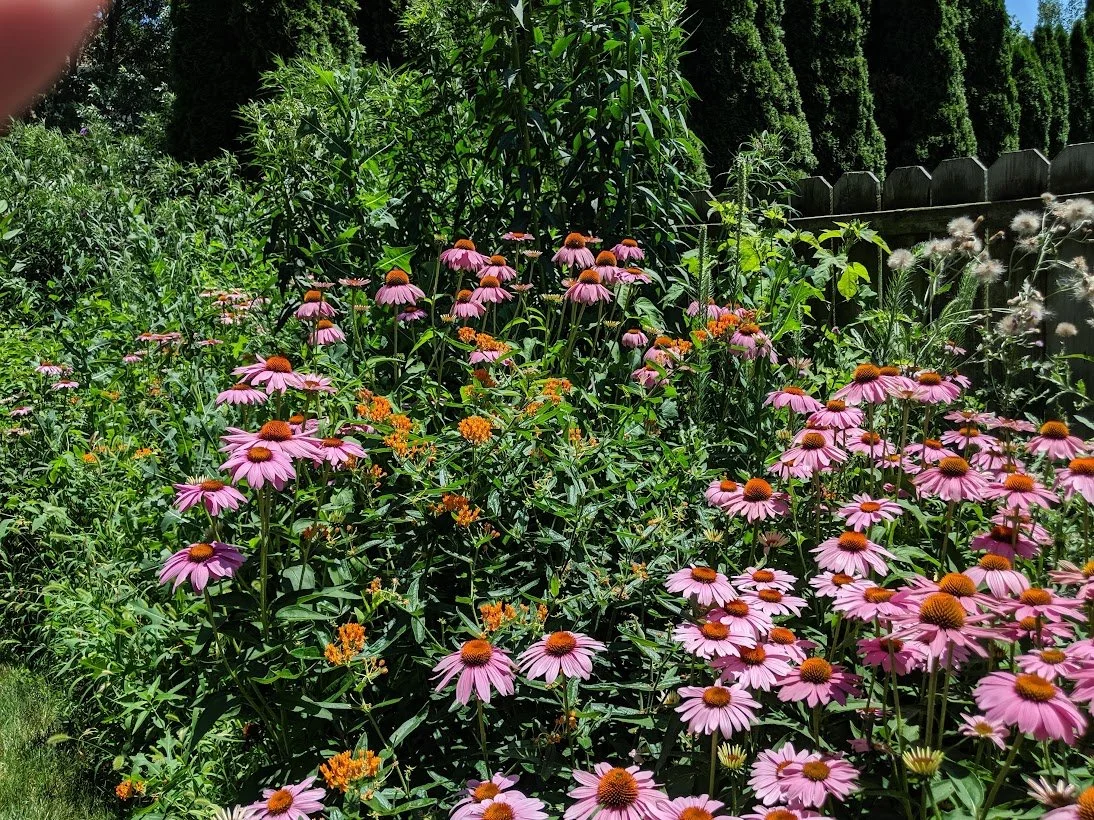 Prairie Full.jpg