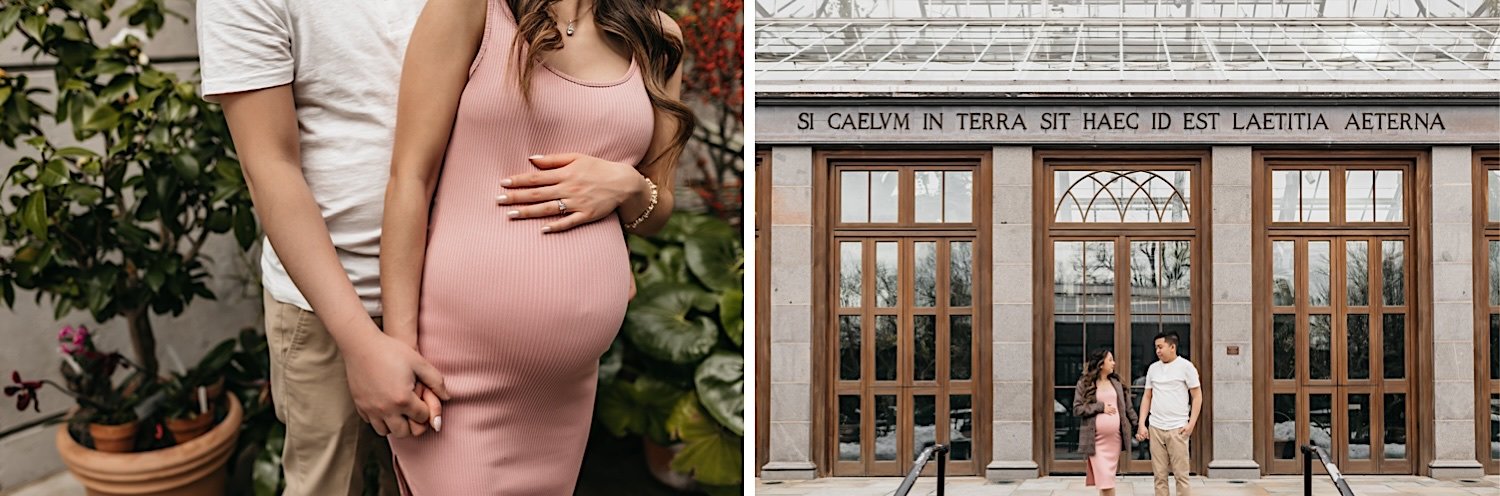 15_New England Botanical Garden Greenhouse Maternity Session.jpg