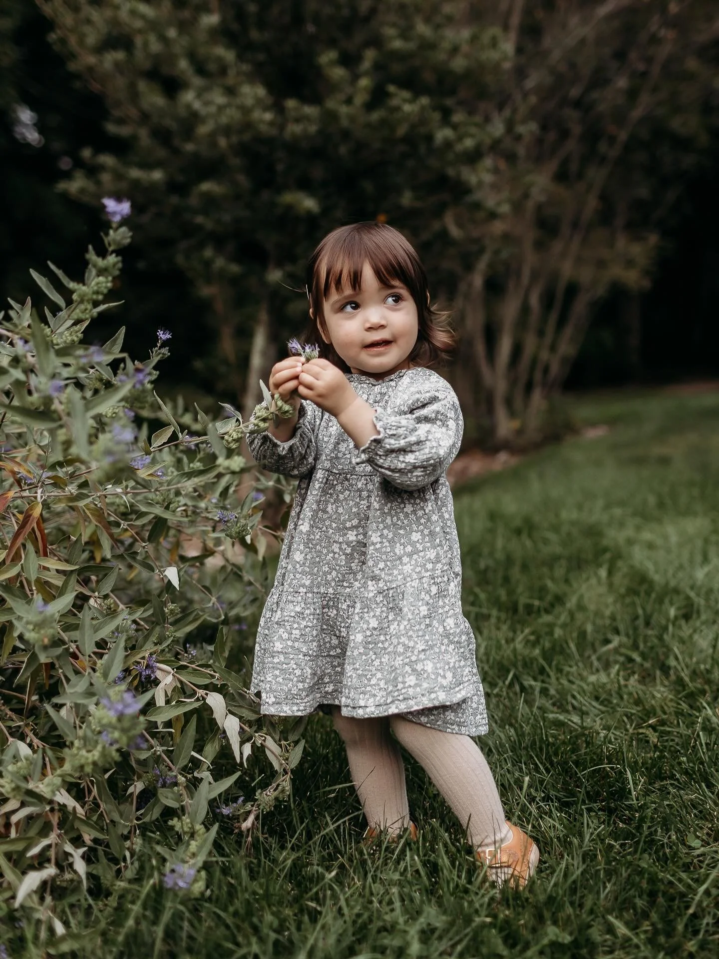 This family brings so much light and joy that you would never know what an overcast day we had or that we literally got rained on as we left this session!