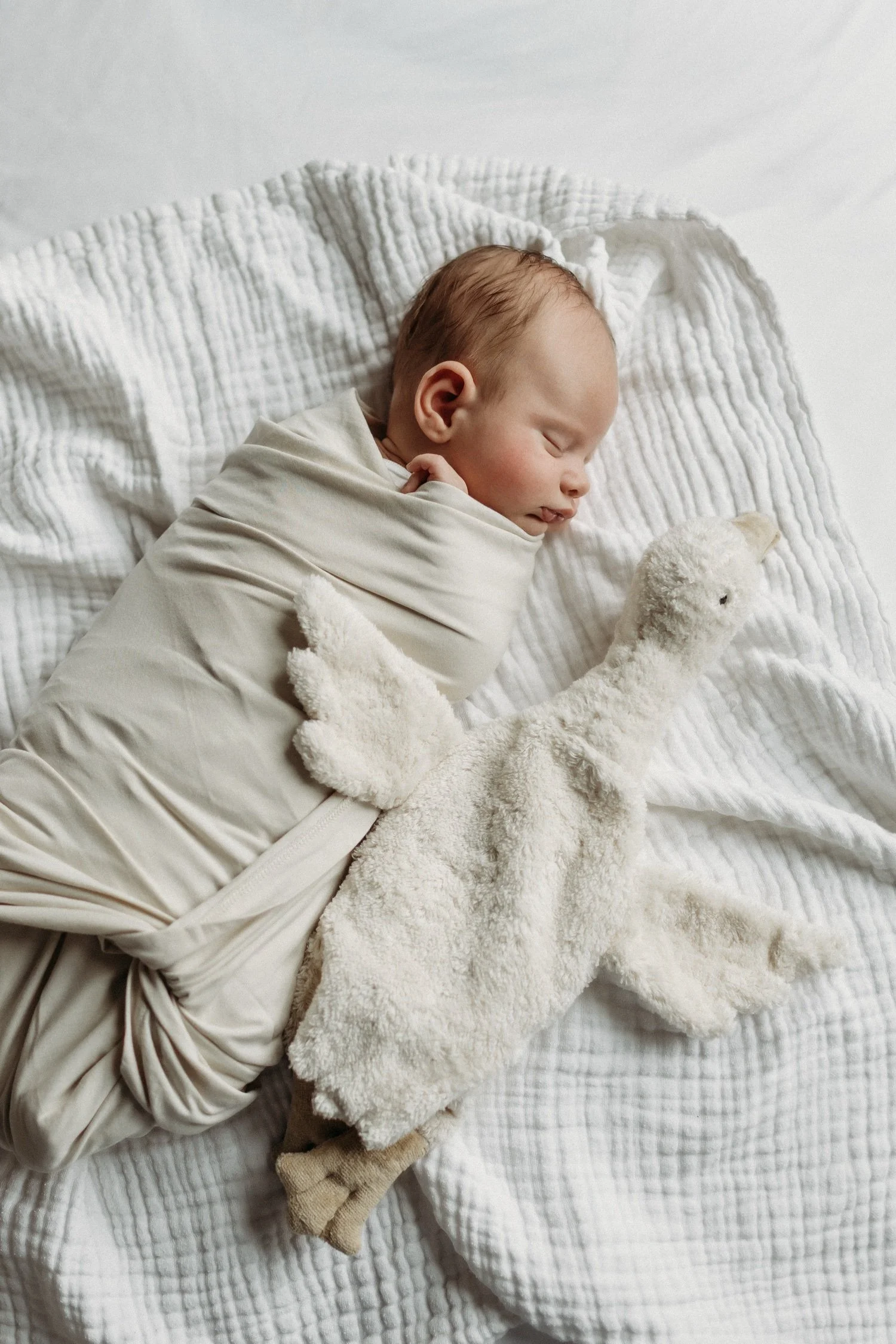 18_Central MA Studio Newborn Session.jpg