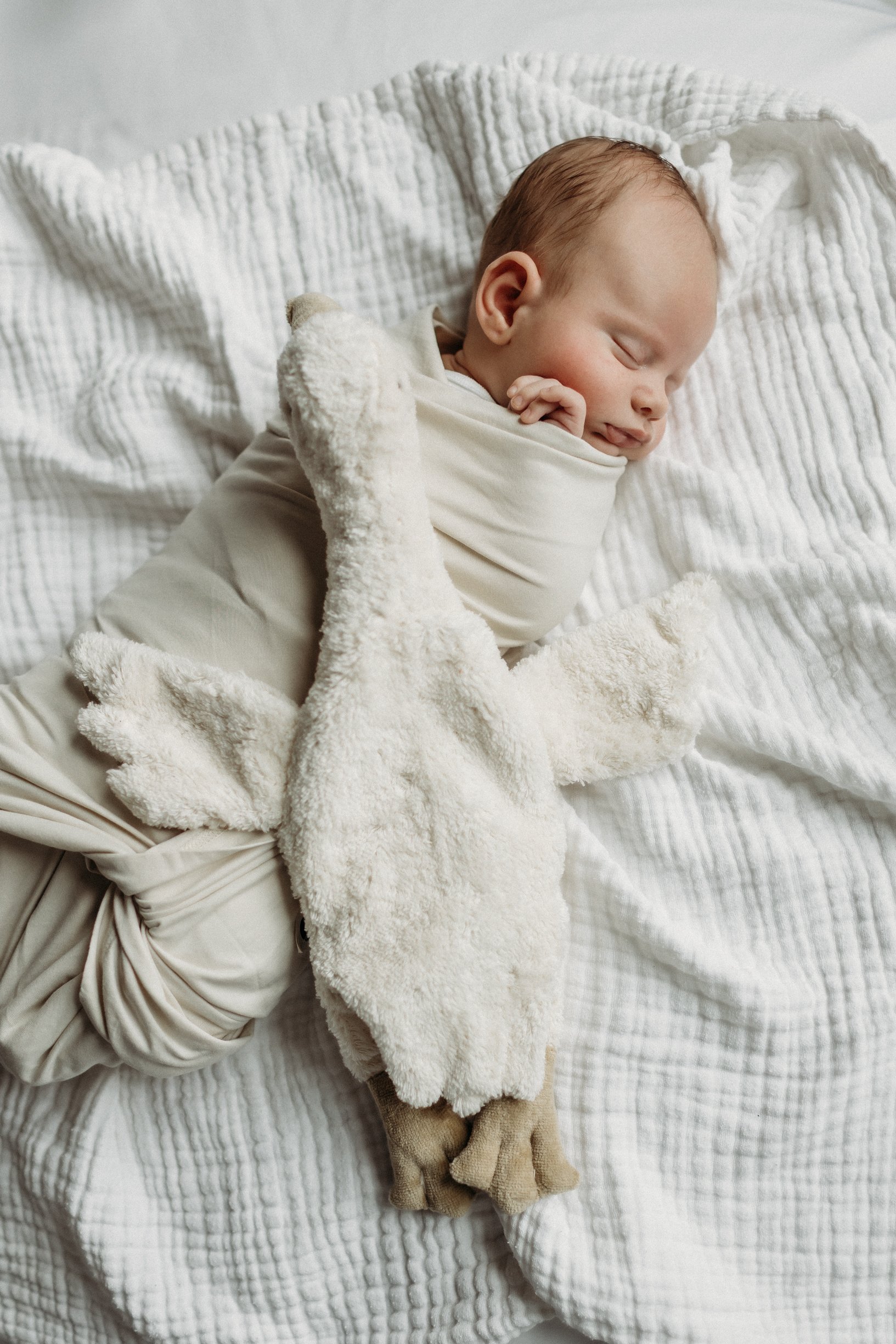 Elijah’s Central MA Studio Newborn Session
