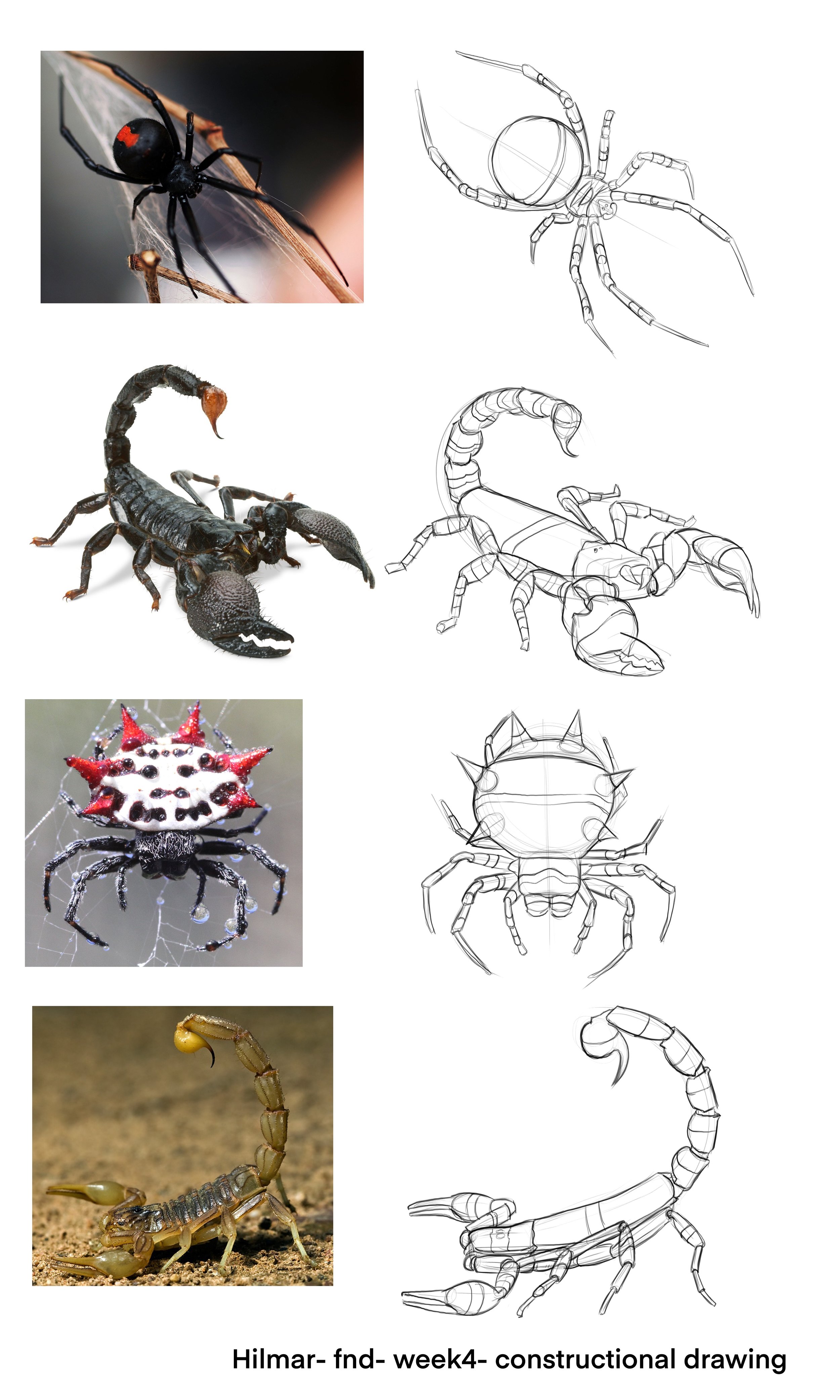 fnd1-_week4-_homework3.jpg