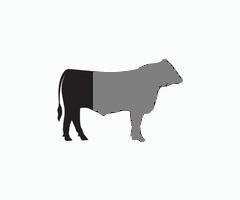 Quarter Beef