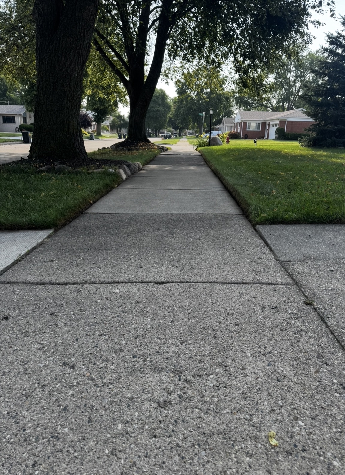 Why Lawn Edging Makes Your Yard Look Professionally Maintained