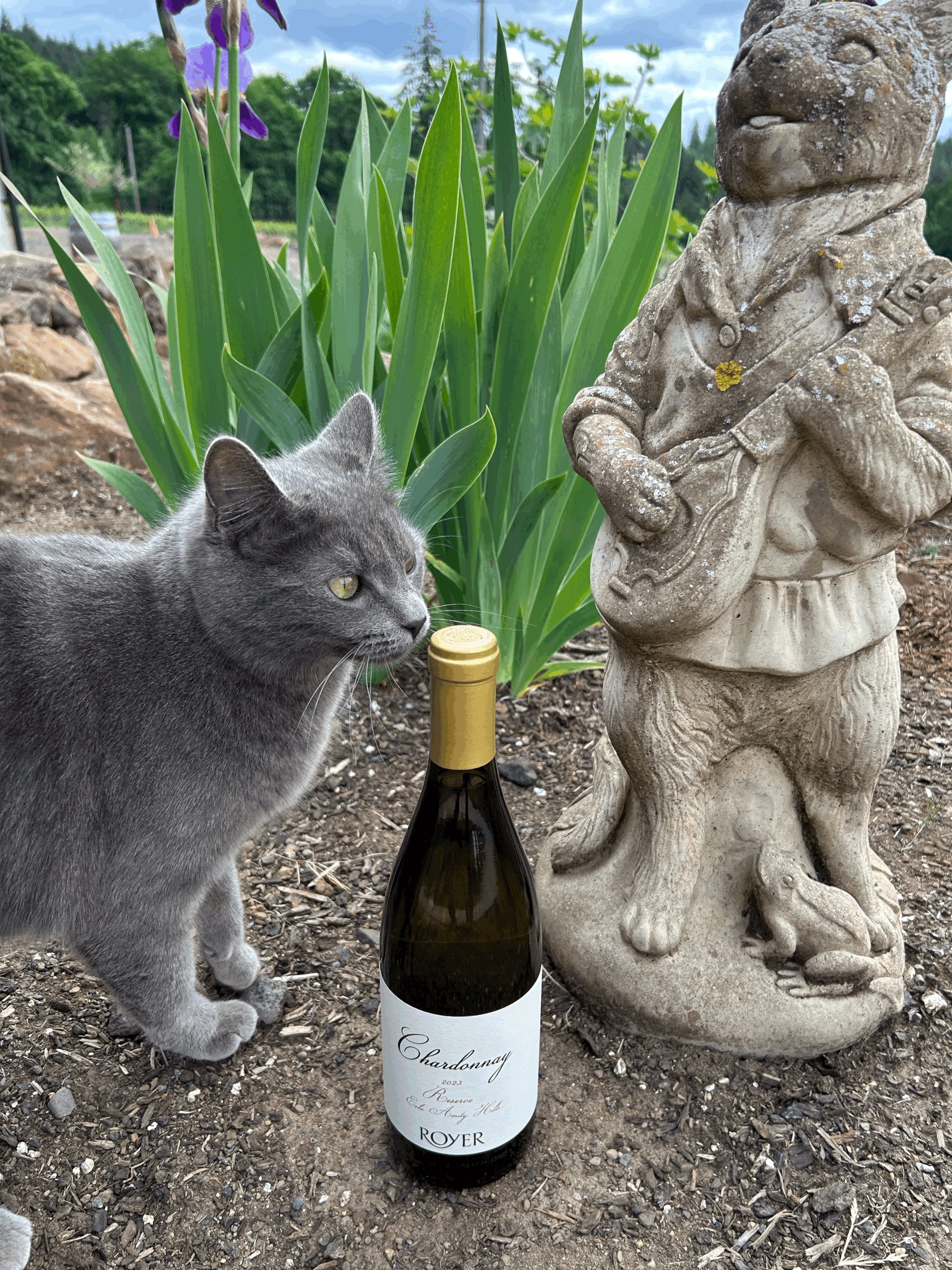 2023 Estate Chardonnay Reserve