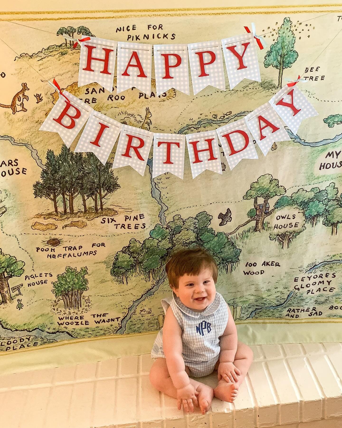 We celebrated our sweet little baby boy turning one with close family and friends. I cannot believe that a year has already gone by in time because it feels like we were just bringing him home with us from the hospital. Life moves fast and the only w