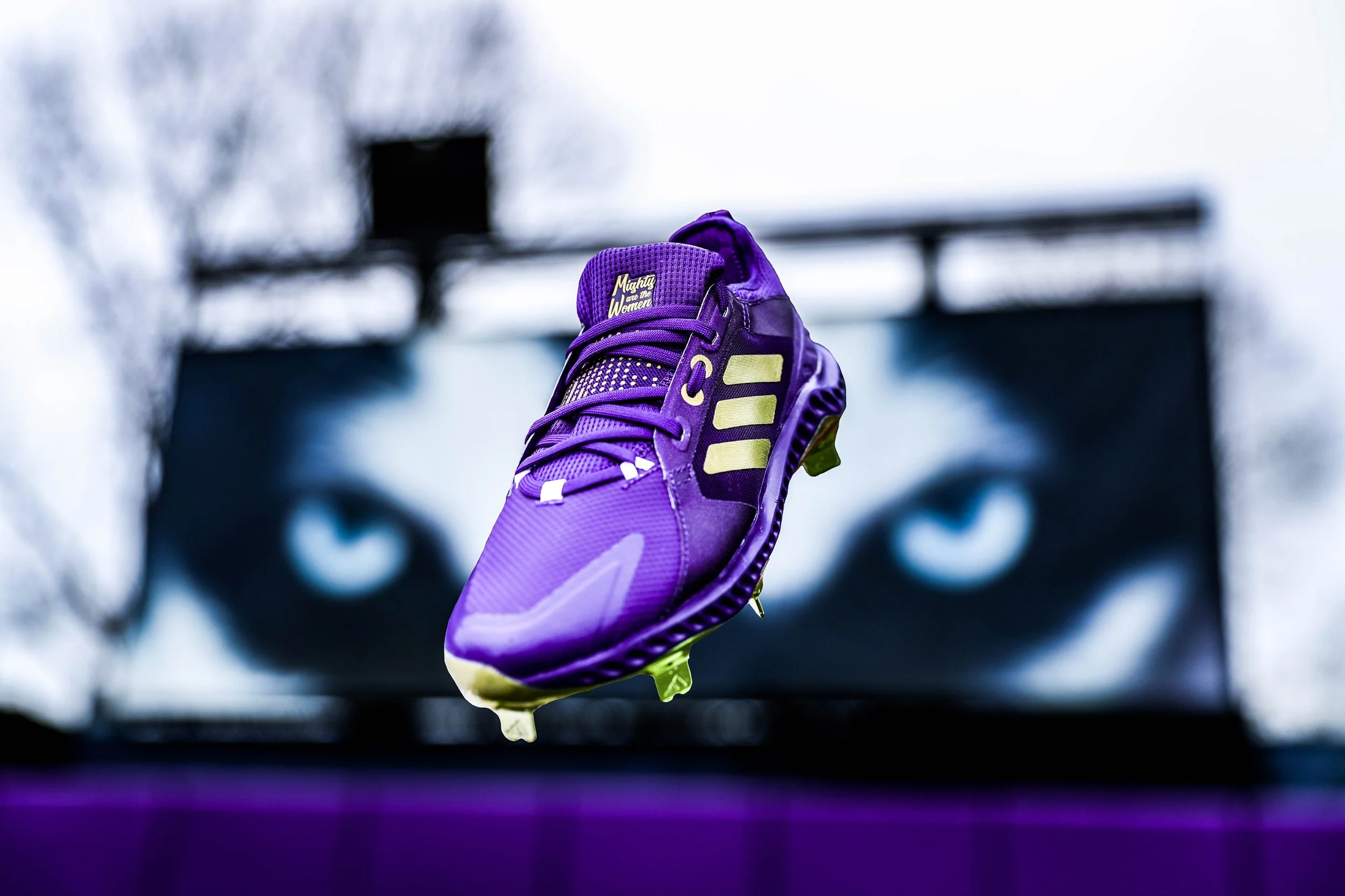 SB Custom Adidas Cleat Floaters.JPG