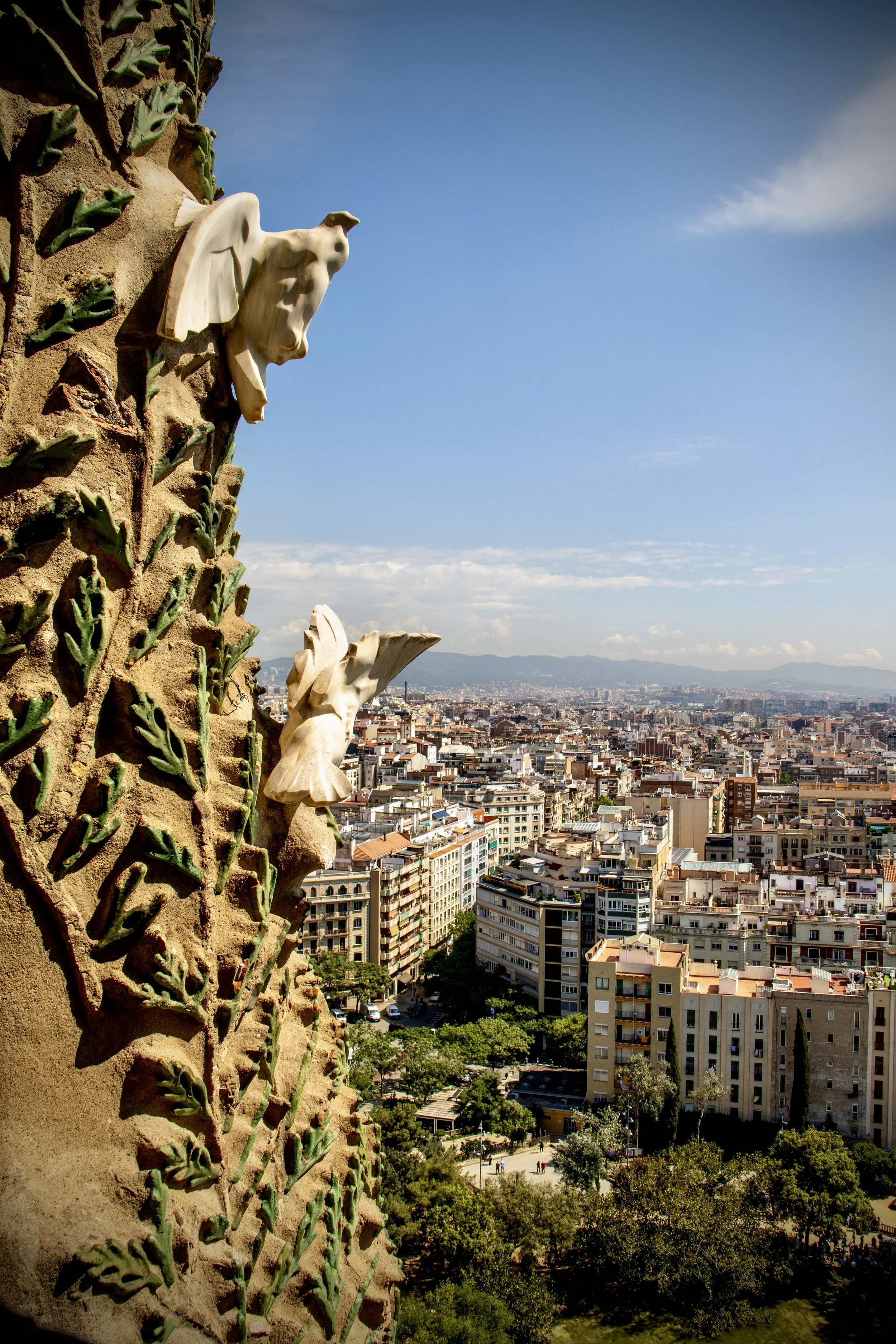 20250512_Barcelona-46.jpg