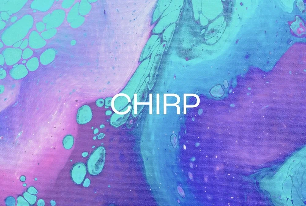 Introducing our new blog, CHIRP