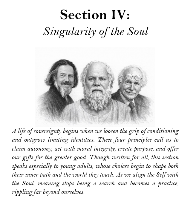 Section IV.png