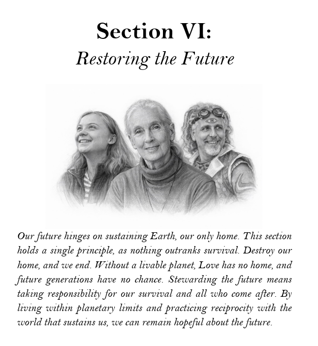 Section VI.png