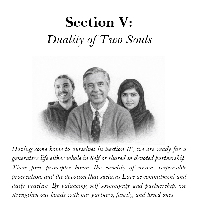 Section V.png