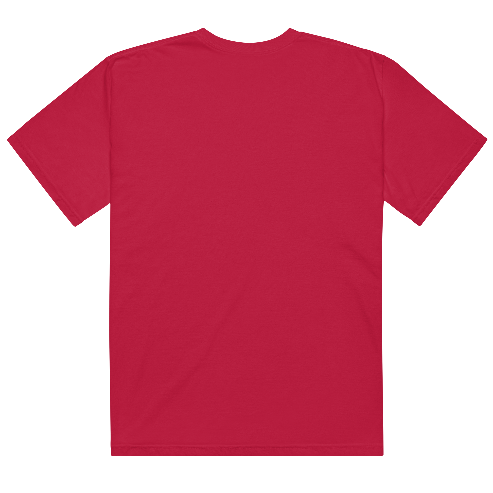 unisex-garment-dyed-heavyweight-t-shirt-red-back-696435555884f.png