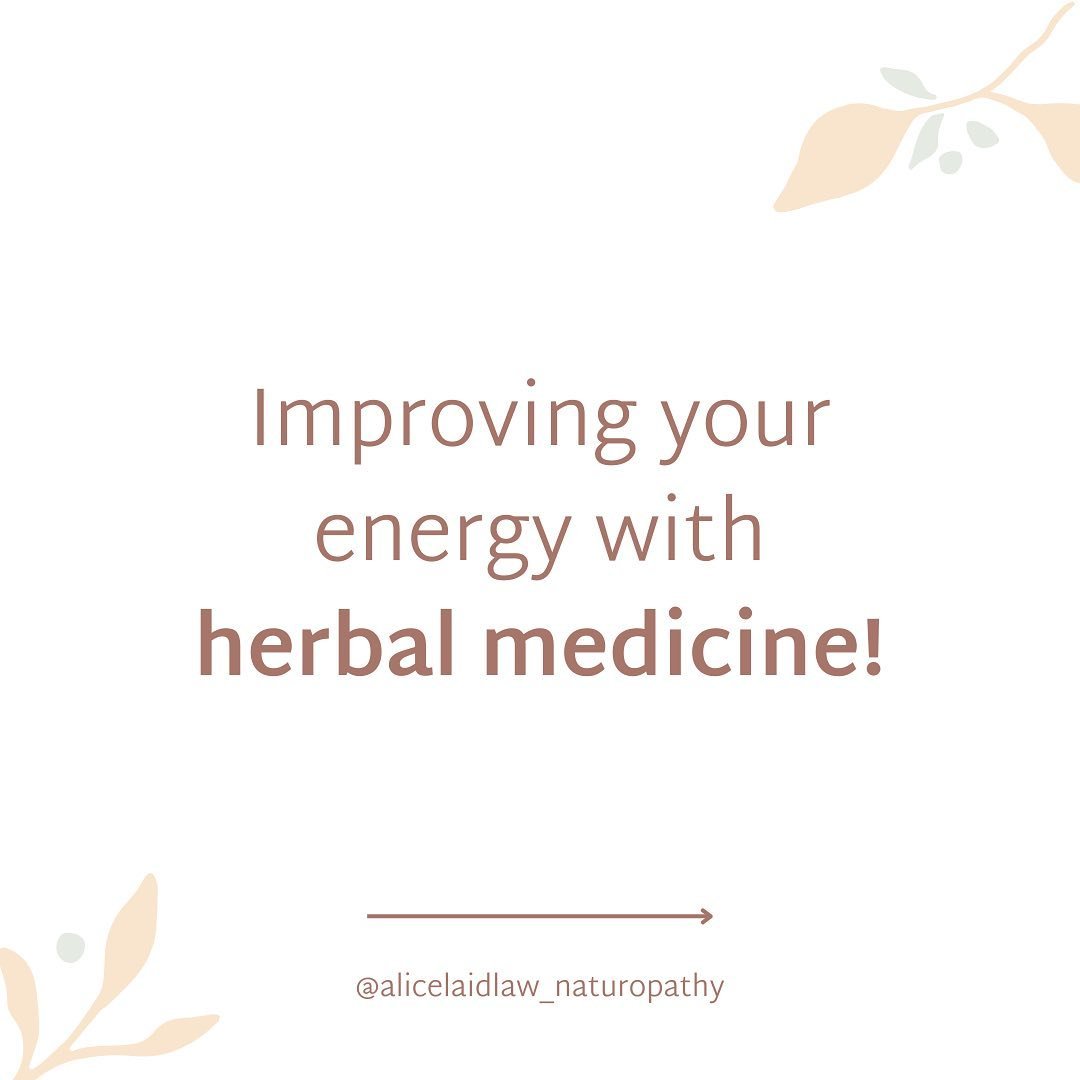 Using herbs to support your nervous system, energy levels and mood can be so powerful and something I use all the time in clinic!

#herbaltonic #herbalmedicine #naturopathy #vitality #energy #nervoussystemregulation #nervoussystemhealing