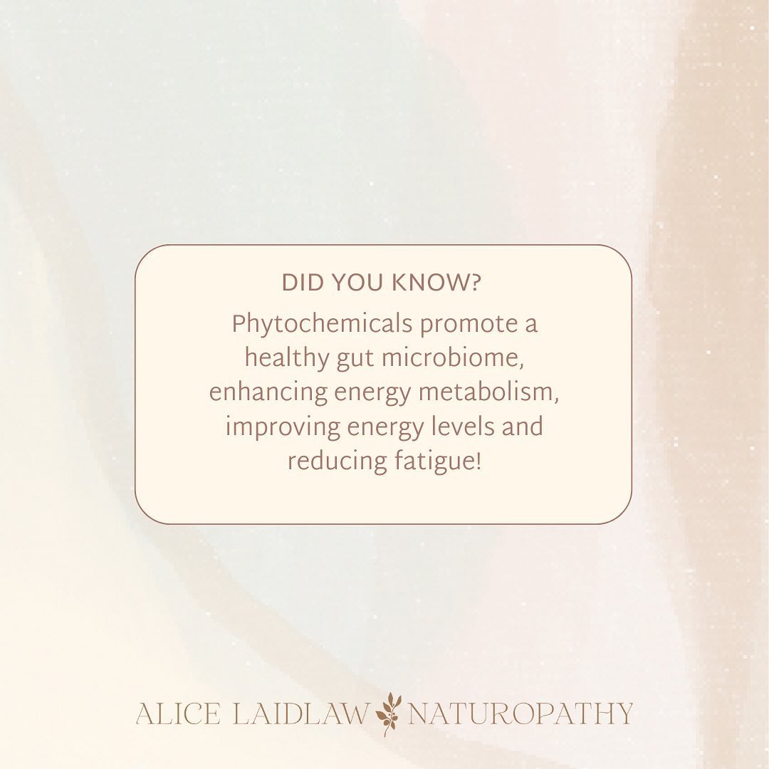 This is a friendly reminder to load your plates up with all of the vegetables! 🥦

#phytochemicals #guthealth #microbiomehealth #microbiome #energyboost #naturopathy #nutrition #herbalmedicine #vitality