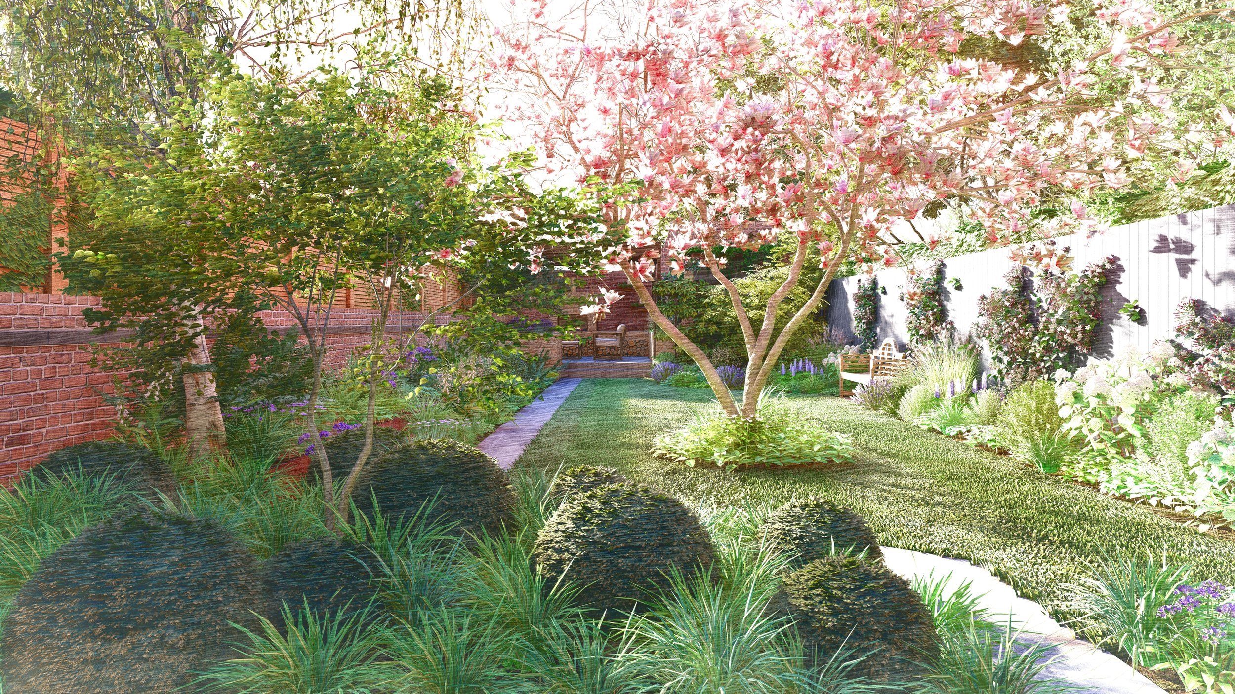 Topiary balls and ornamental grasses in an urban garden.jpg