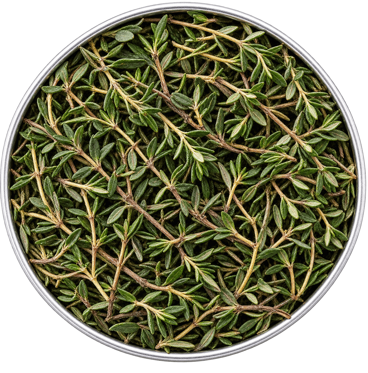 Thyme fragrance note in 1630 scent