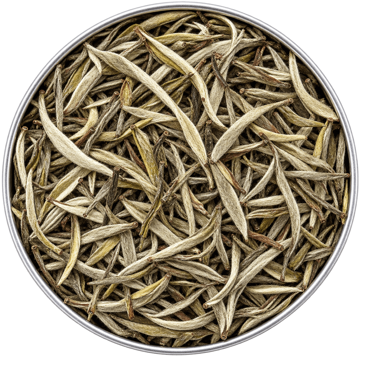 White tea fragrance note in 1630 scent