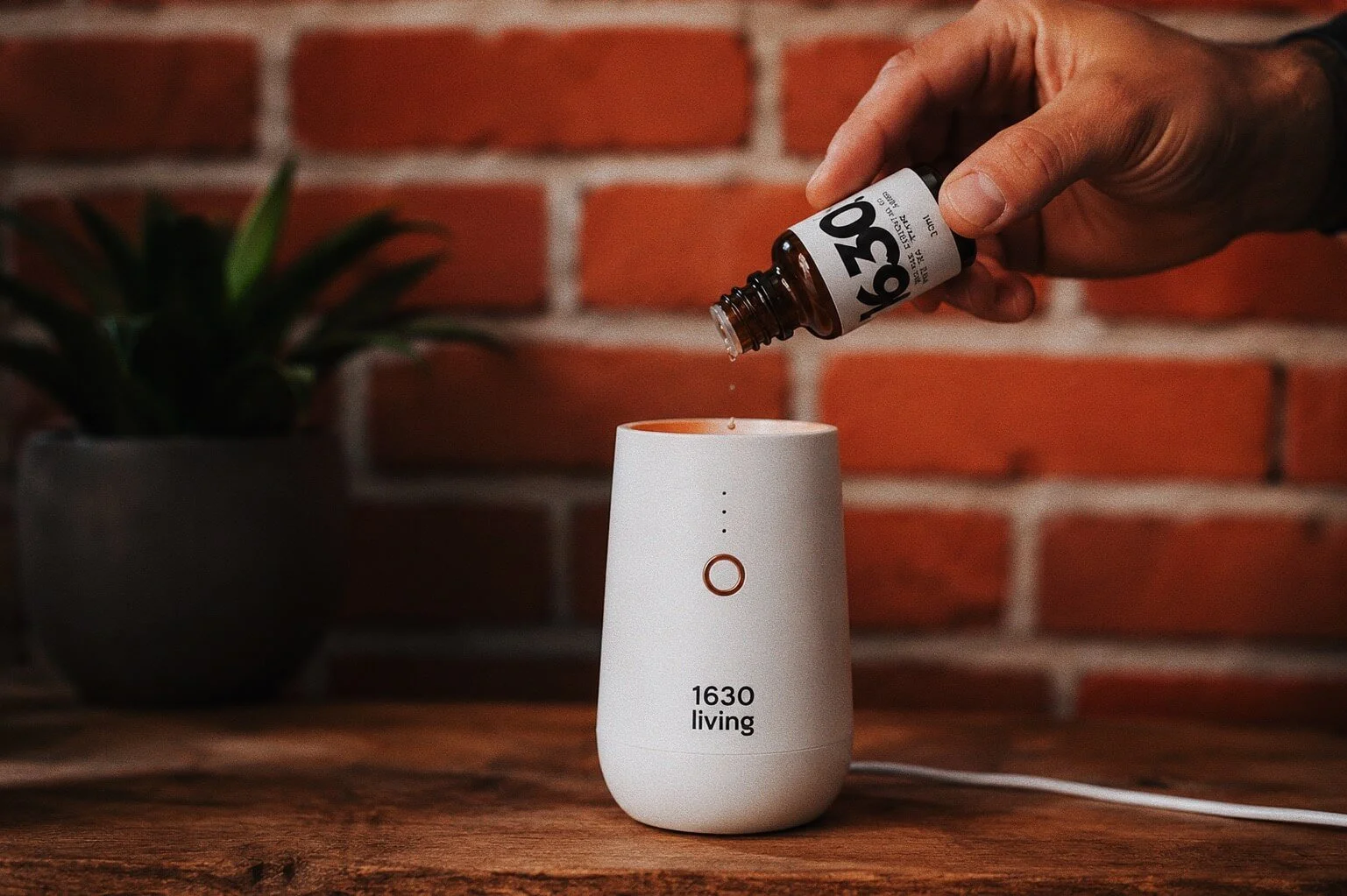 1630 fragrance inspired by the familiar scent from Moe’s Home furniture store in Victoria BC