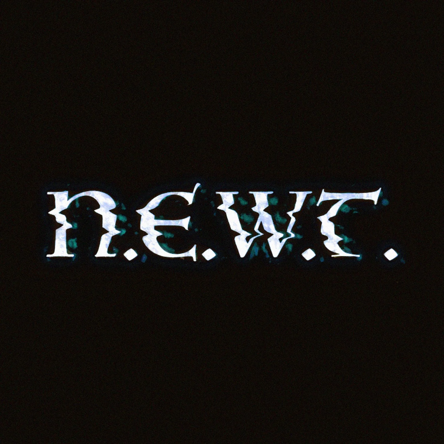 NEWT Logo.jpg