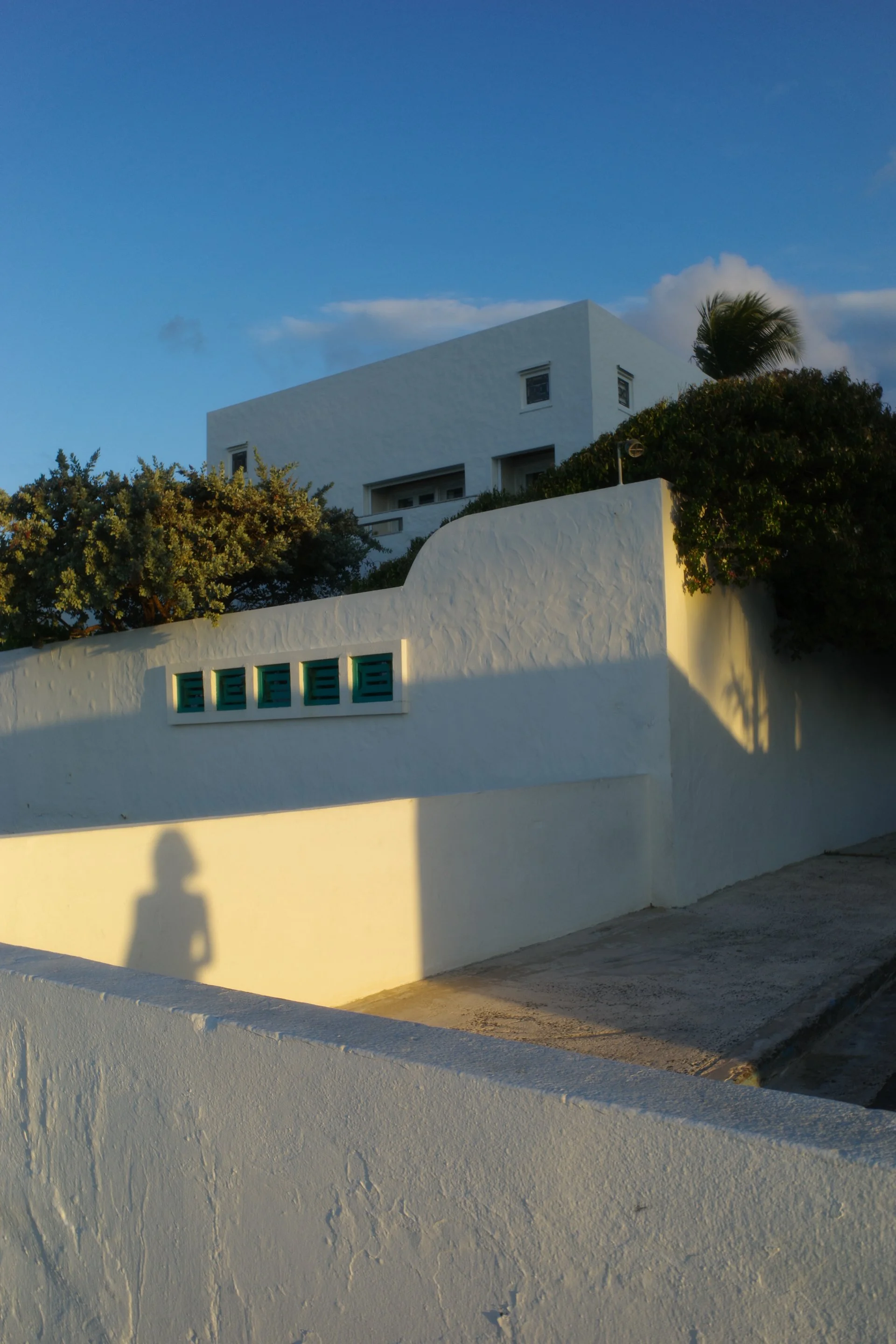 Webpics-18.jpg