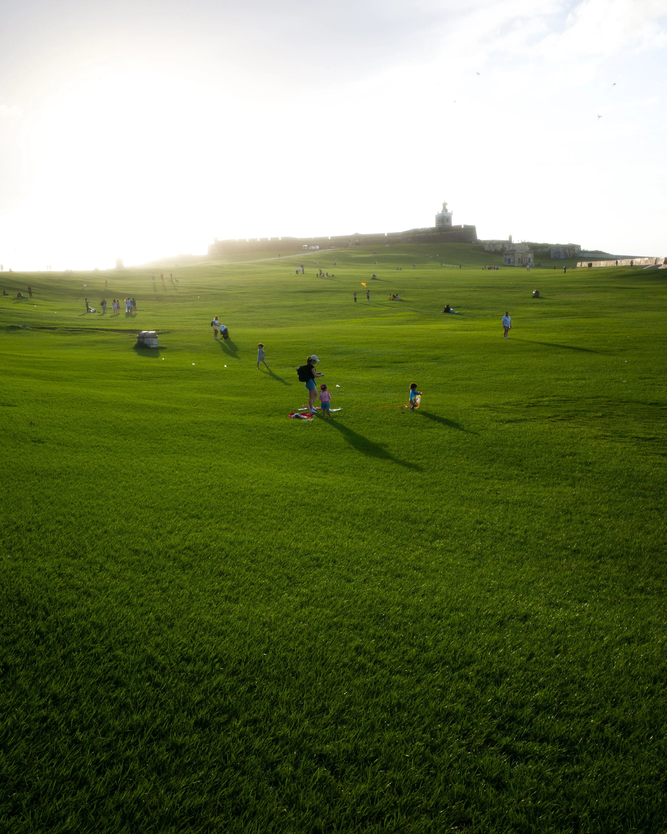 Webpics-13.jpg
