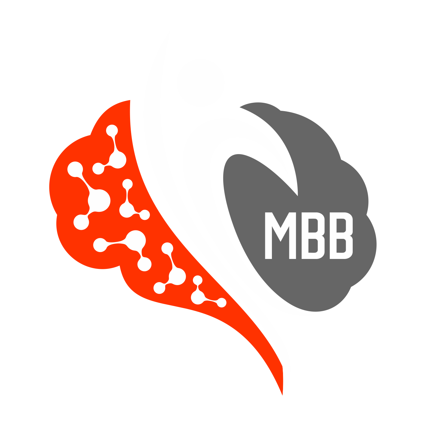 Mind Body Balance Physical Therapy PLLC
