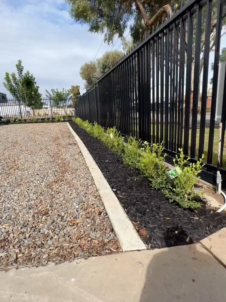 Gardens Adelaide.jpg
