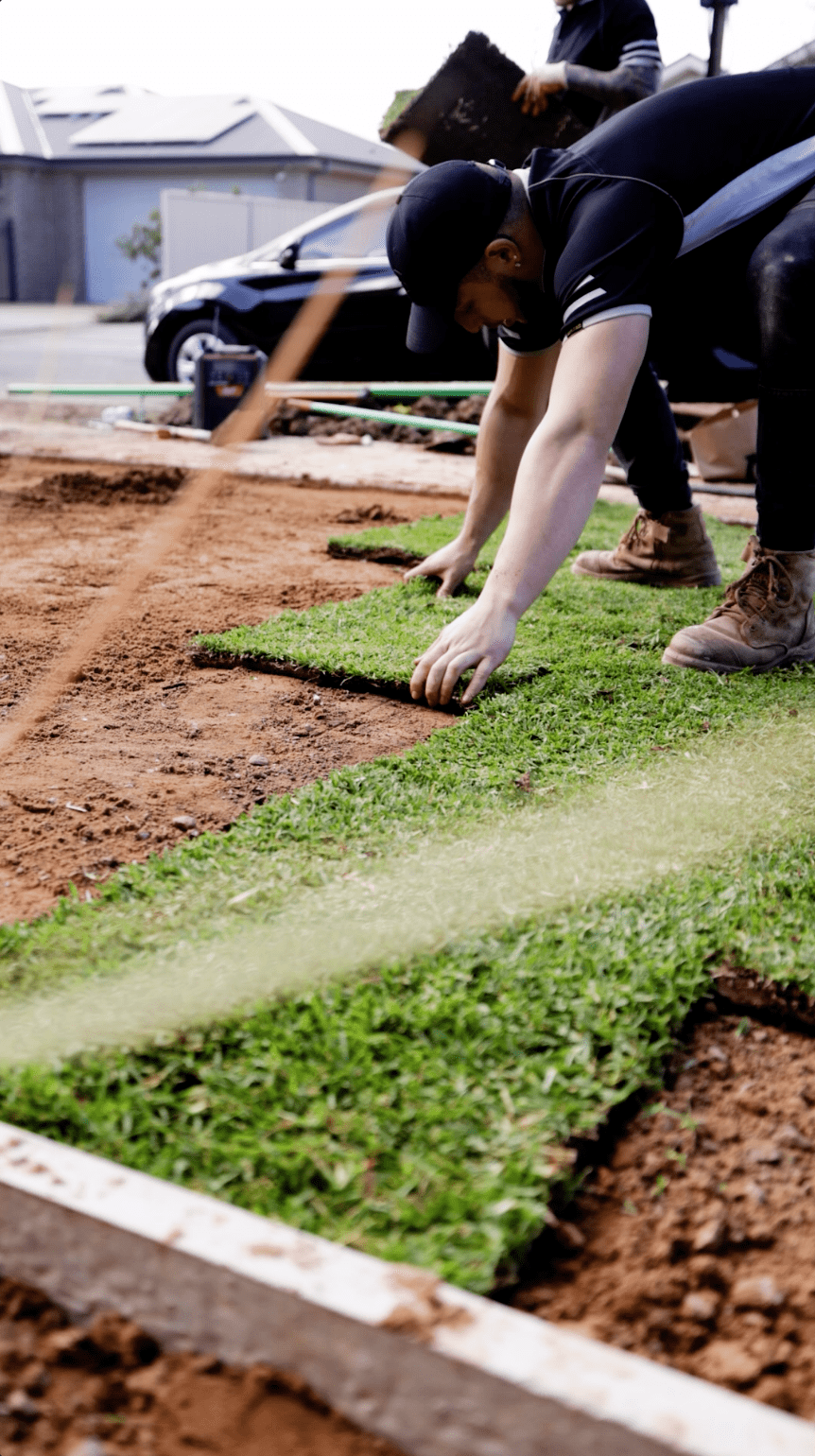 Landscapers-Turf-Installation.png