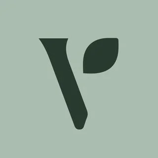 Visionscapes Favicon.jpg