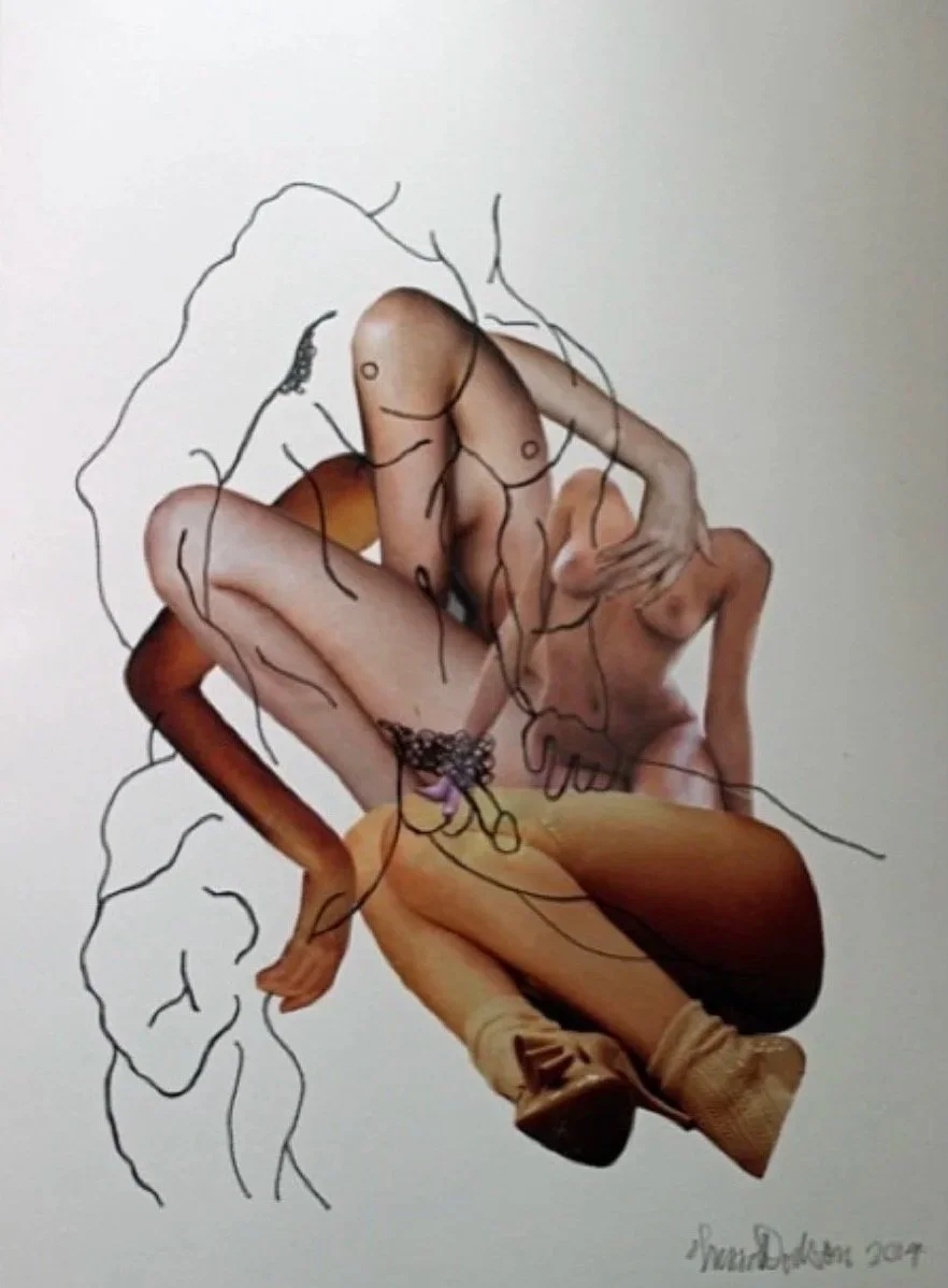 collage and drawing on paper,  (2014)