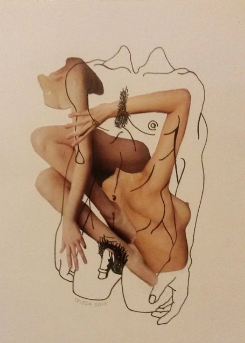collage and drawing on paper,  (2015)