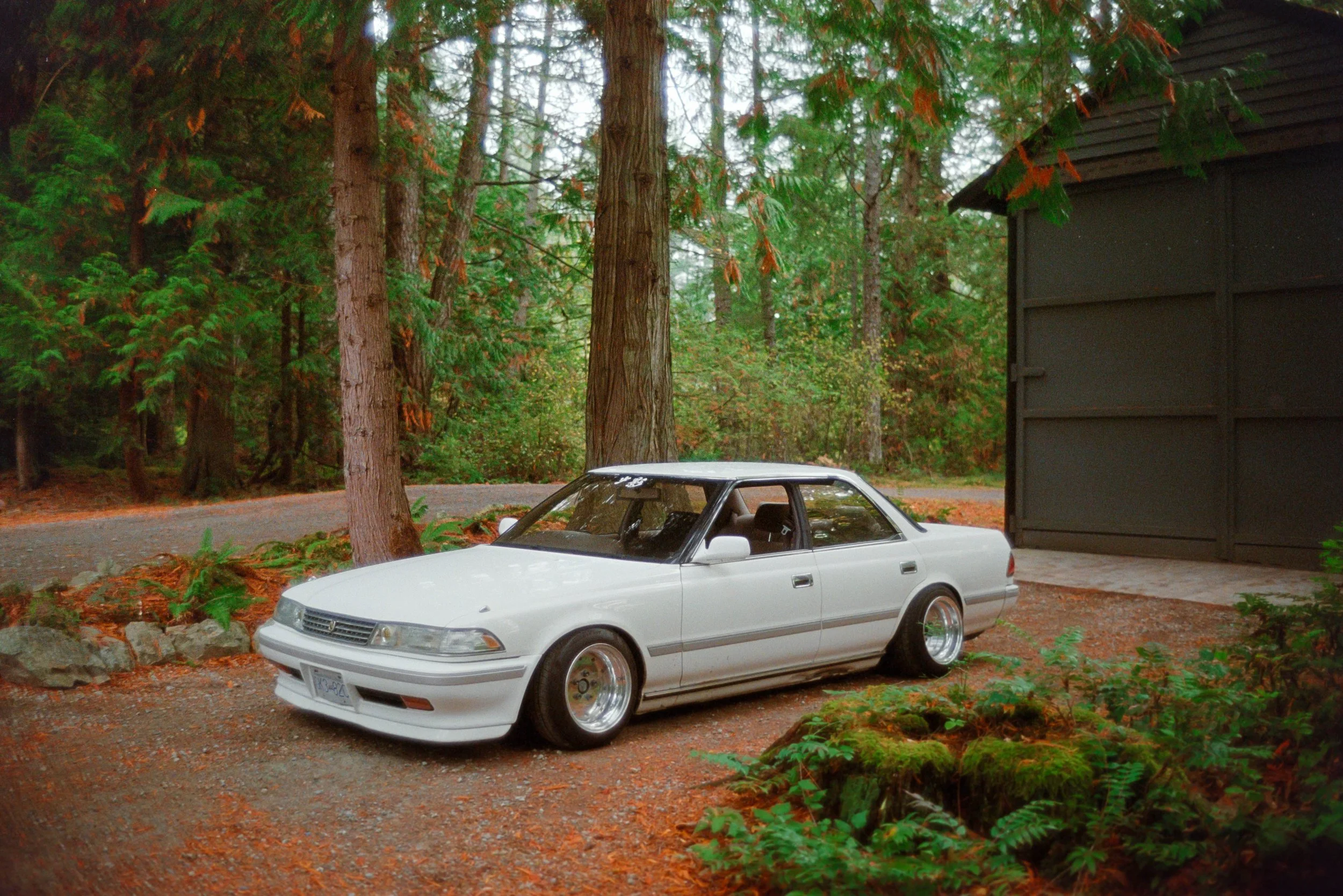 Cinestill 400D - Hexar RF VL 35mm f1.4_2.jpg