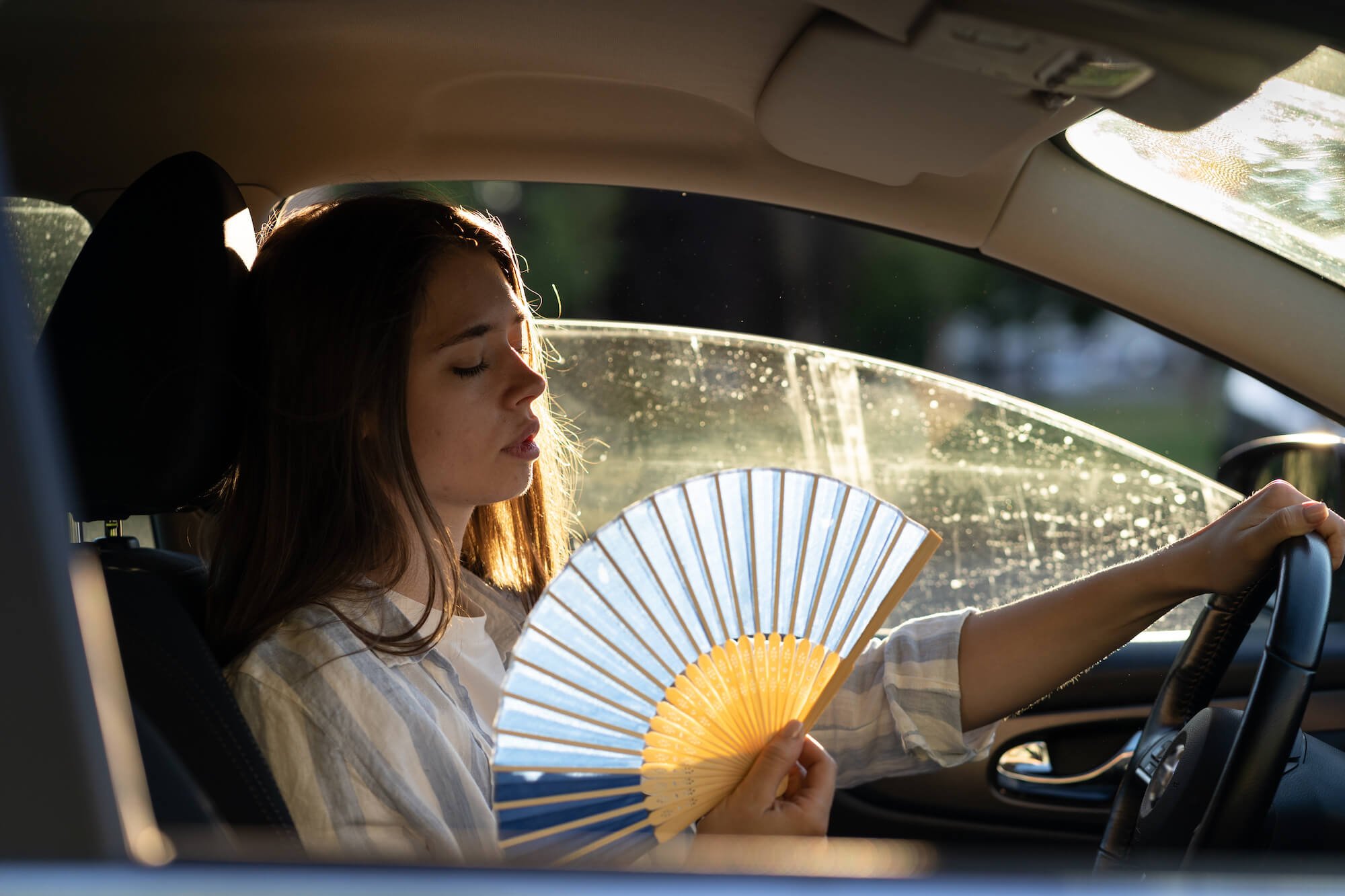 Automotive Window Tinting Temperature Regulation