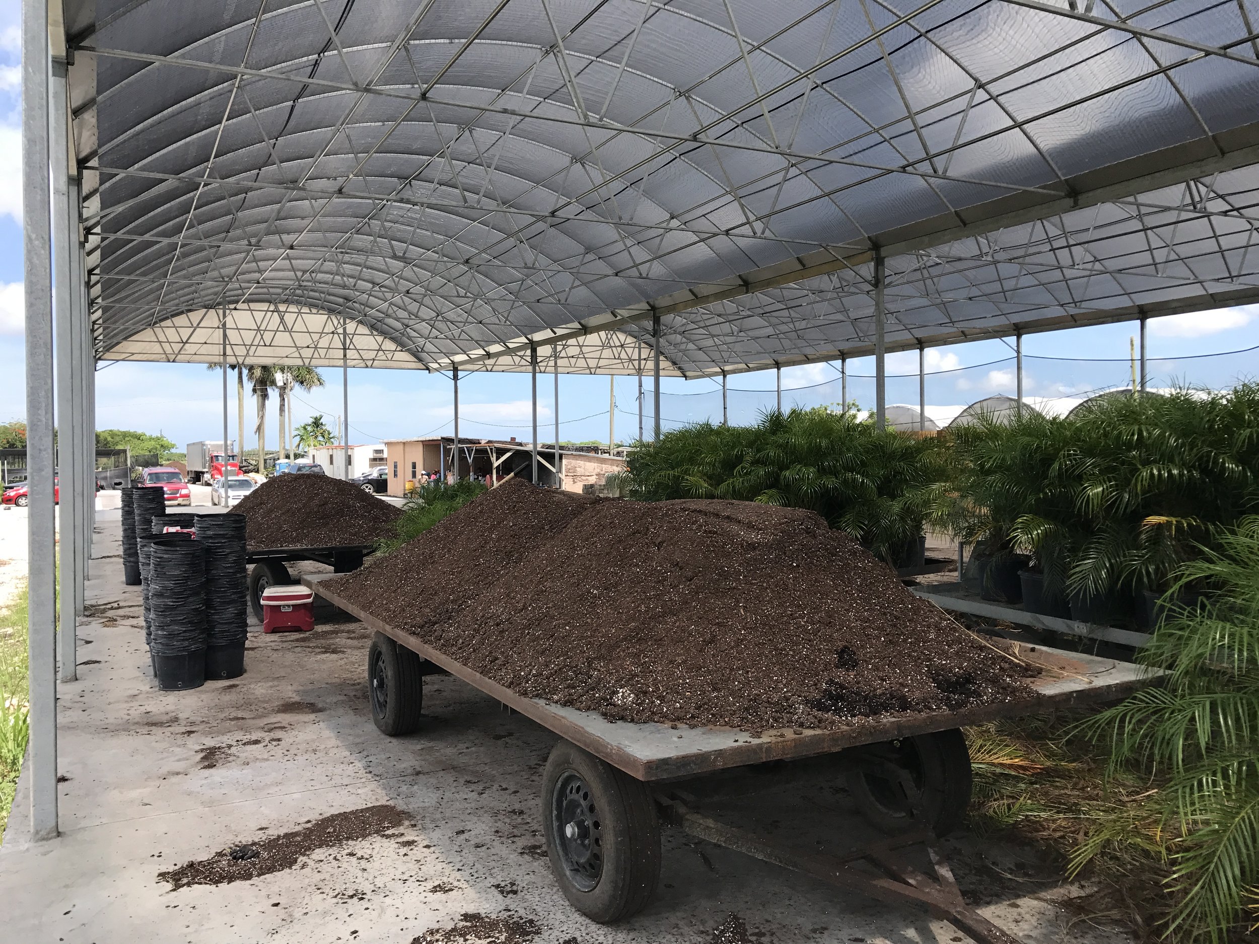 Soil and plant nursery under a large metal and plastic covered shelter, with piles of soil and potted plants, and stacked black trays.