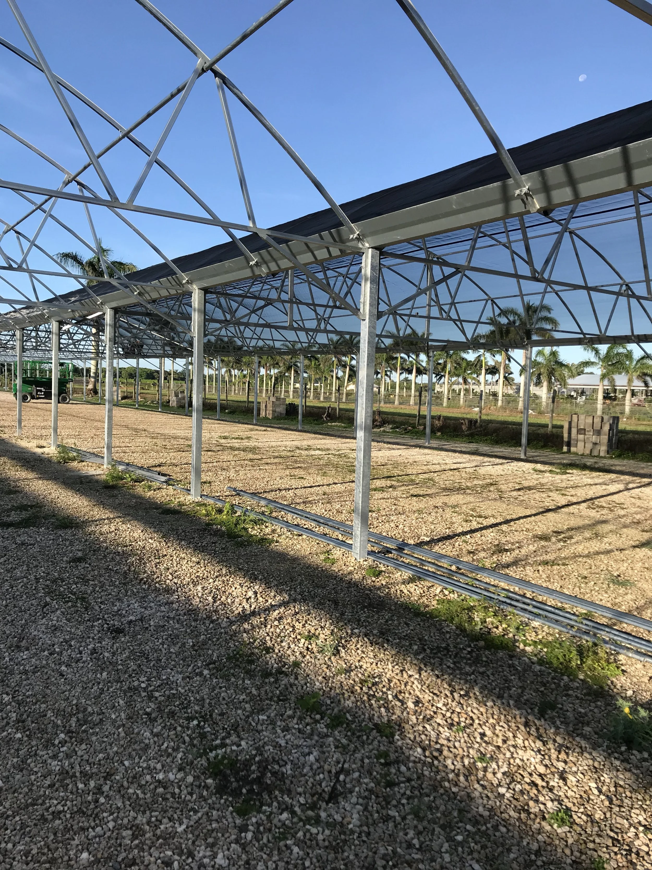 Construction site with a metal framework for a greenhouse or similar structure, with a gravel ground and rows of palm trees in the background under a clear blue sky.