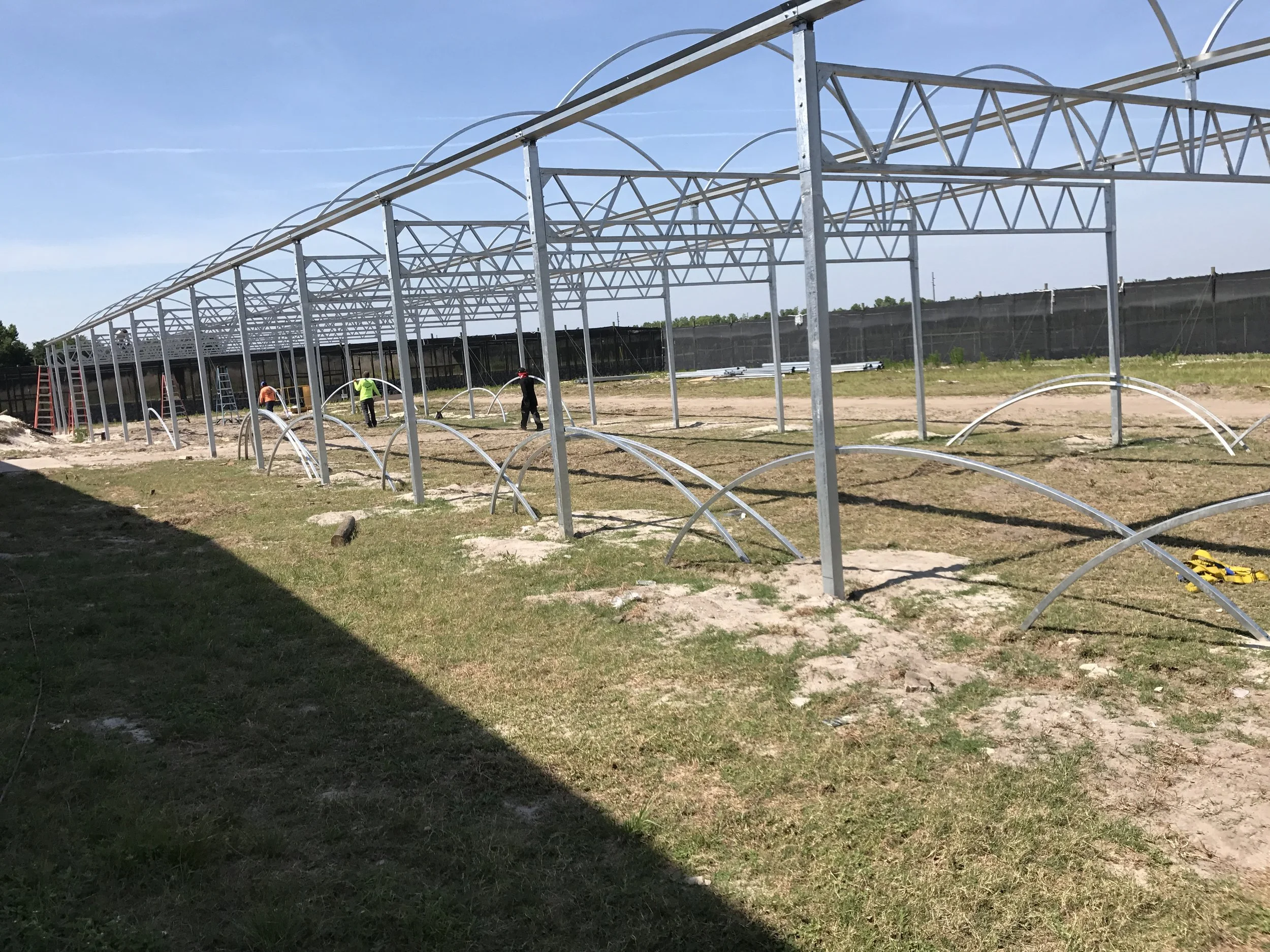 Construction workers assembling the framework of a greenhouse in a grassy field on a sunny day.